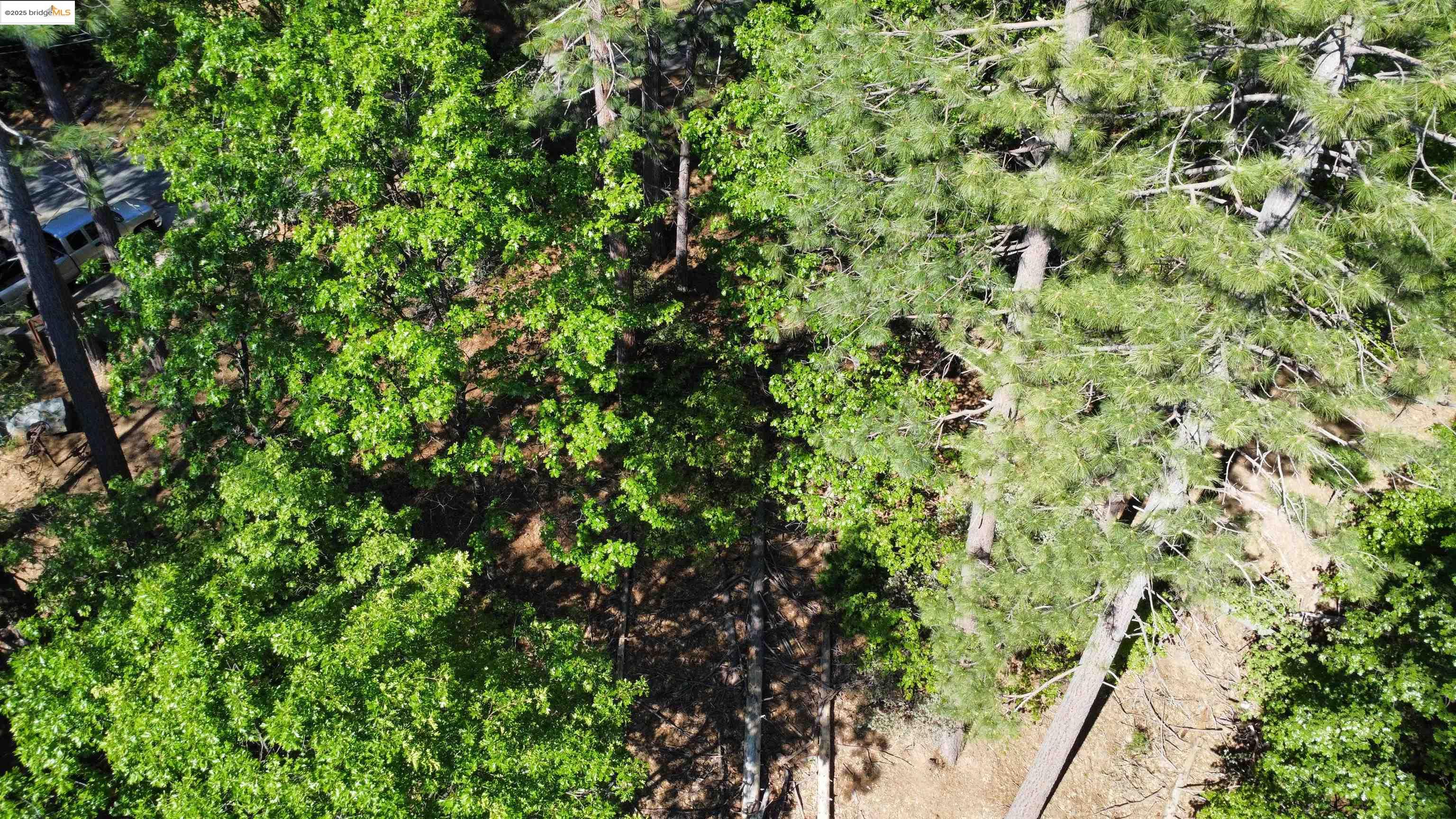 Detail Gallery Image 20 of 31 For 23804 S Oxbow Lane, Sonora,  CA 95370 - – Beds | – Baths