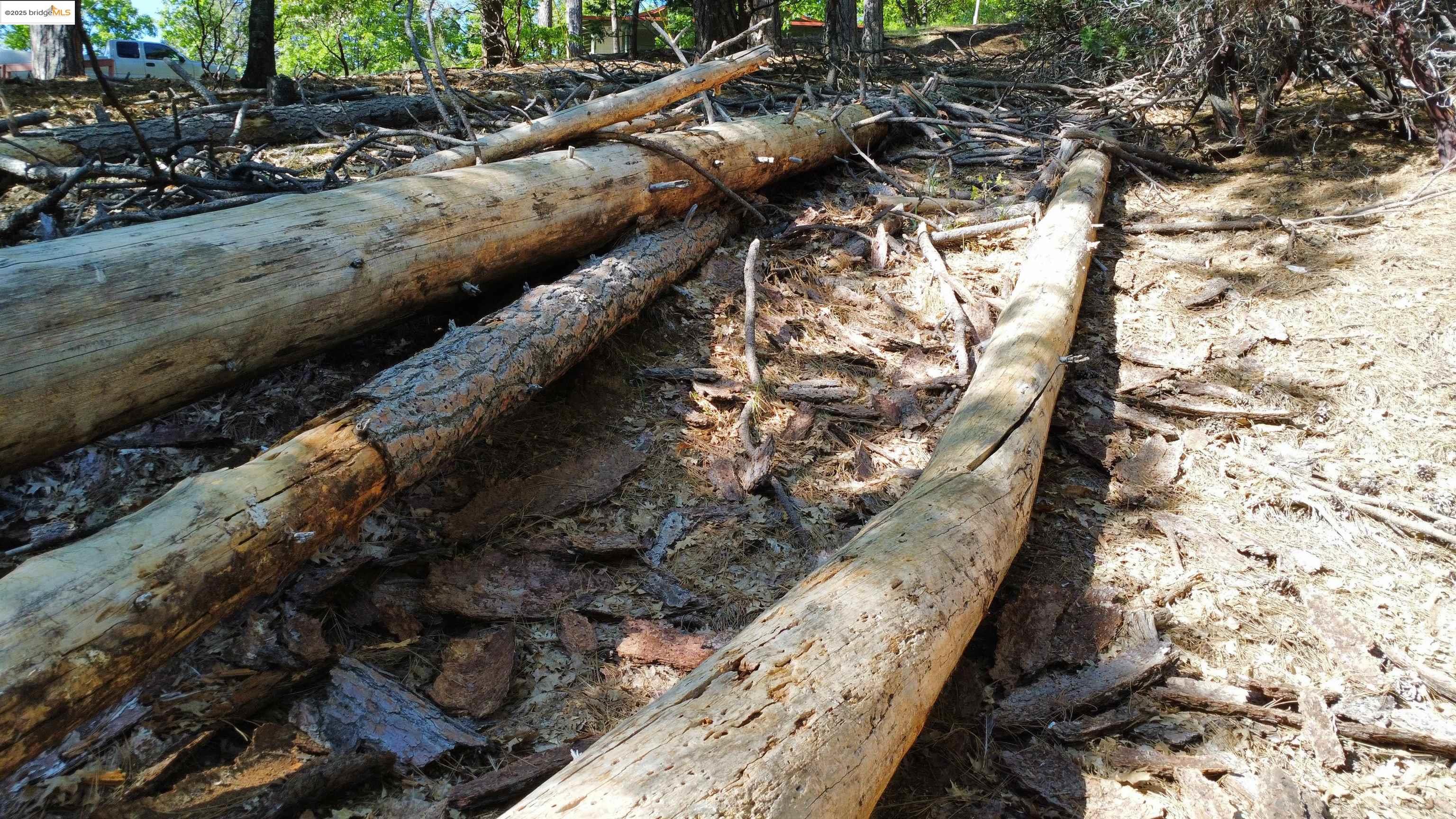 Detail Gallery Image 3 of 31 For 23804 S Oxbow Lane, Sonora,  CA 95370 - – Beds | – Baths