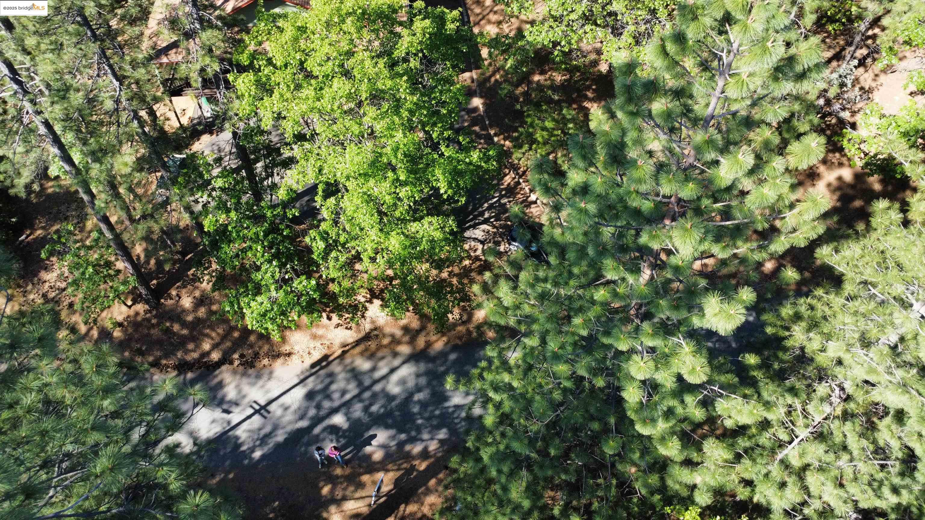 Detail Gallery Image 21 of 31 For 23804 S Oxbow Lane, Sonora,  CA 95370 - – Beds | – Baths