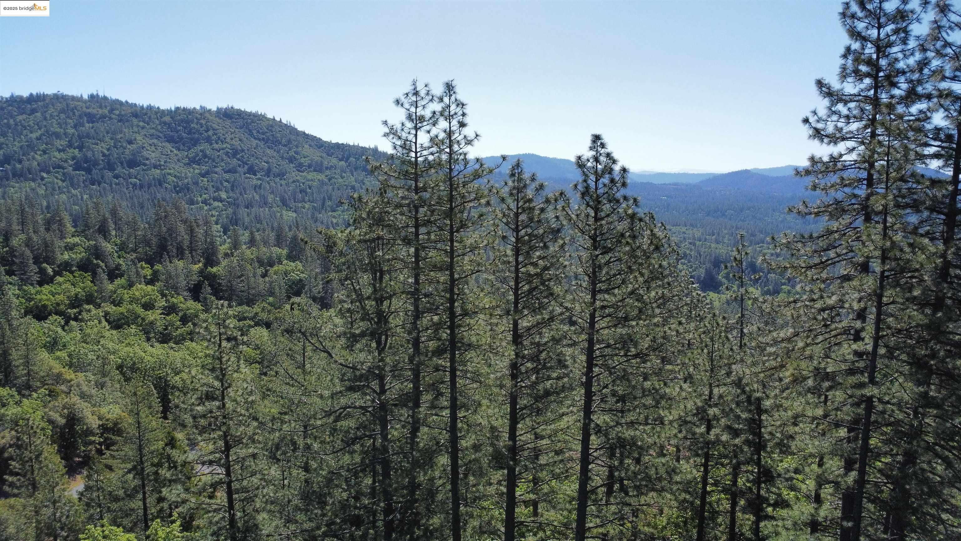 Detail Gallery Image 22 of 31 For 23804 S Oxbow Lane, Sonora,  CA 95370 - – Beds | – Baths