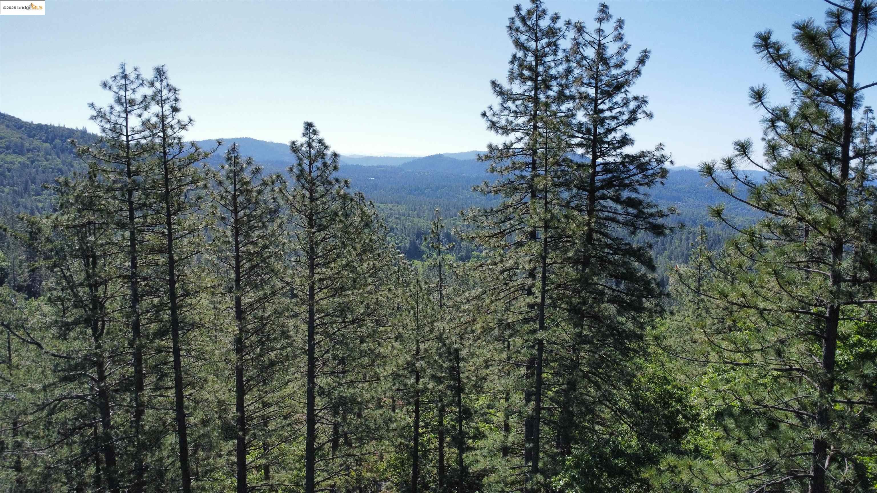 Detail Gallery Image 23 of 31 For 23804 S Oxbow Lane, Sonora,  CA 95370 - – Beds | – Baths