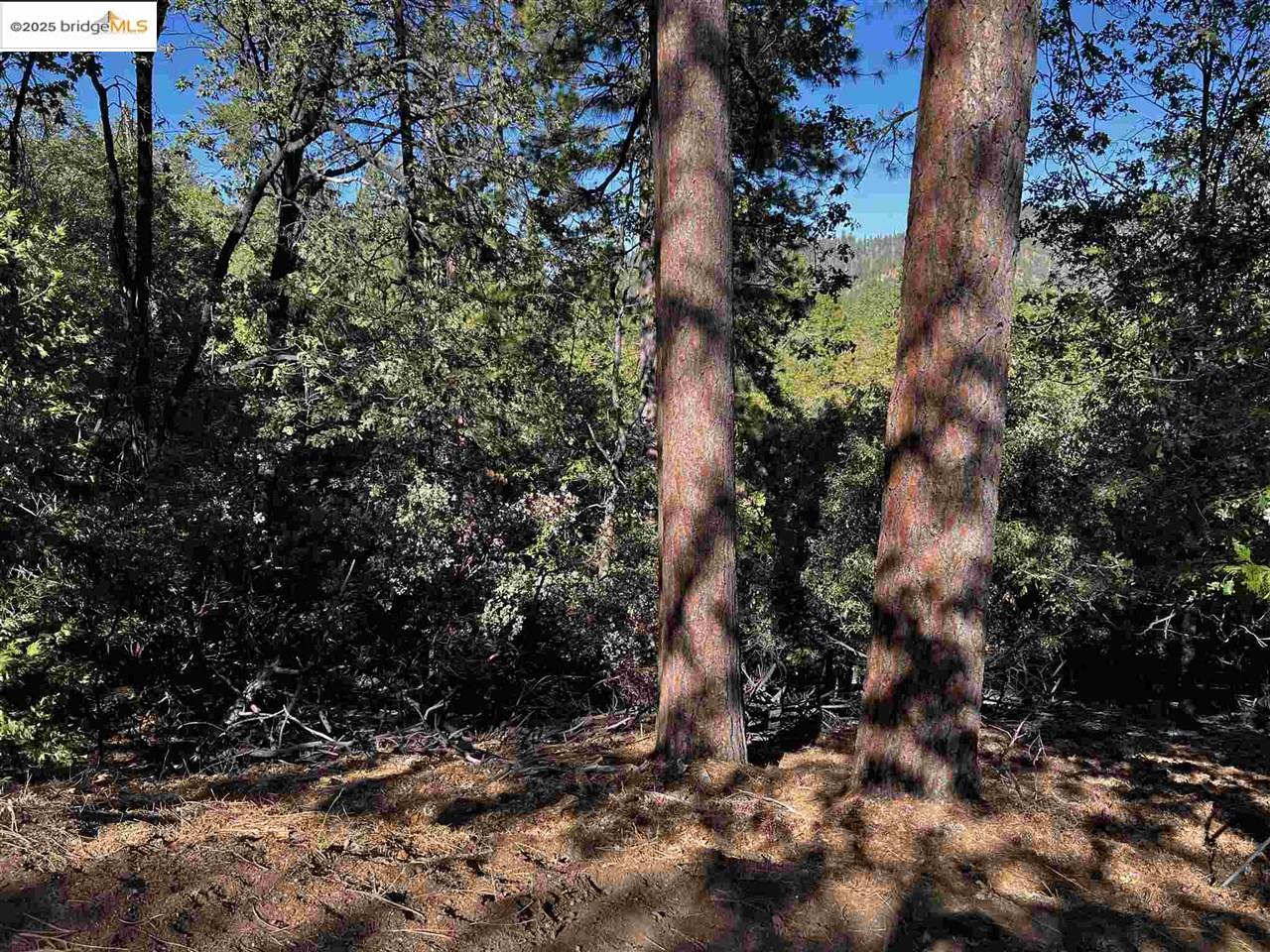 Detail Gallery Image 24 of 31 For 23804 S Oxbow Lane, Sonora,  CA 95370 - – Beds | – Baths