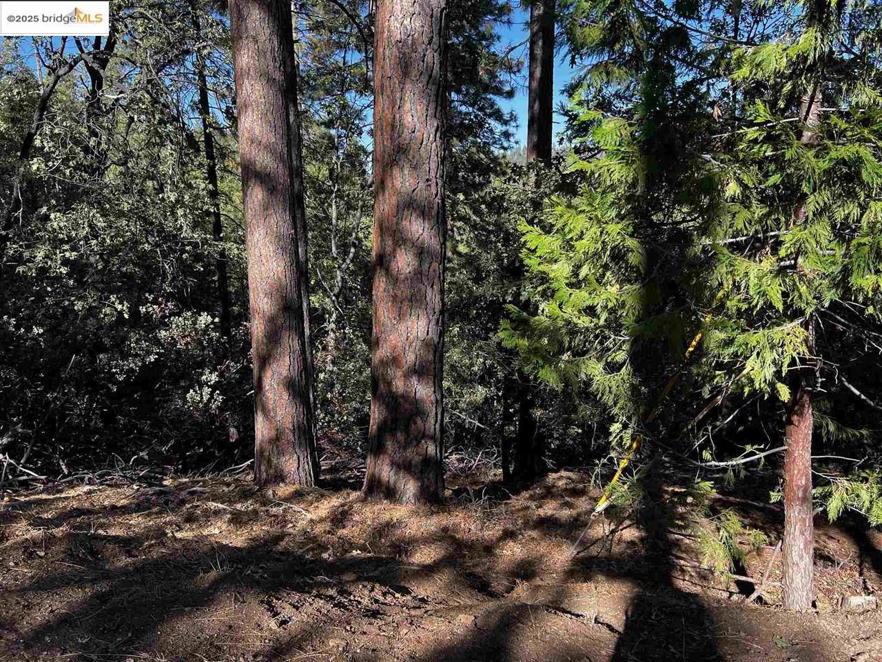 Detail Gallery Image 26 of 31 For 23804 S Oxbow Lane, Sonora,  CA 95370 - – Beds | – Baths