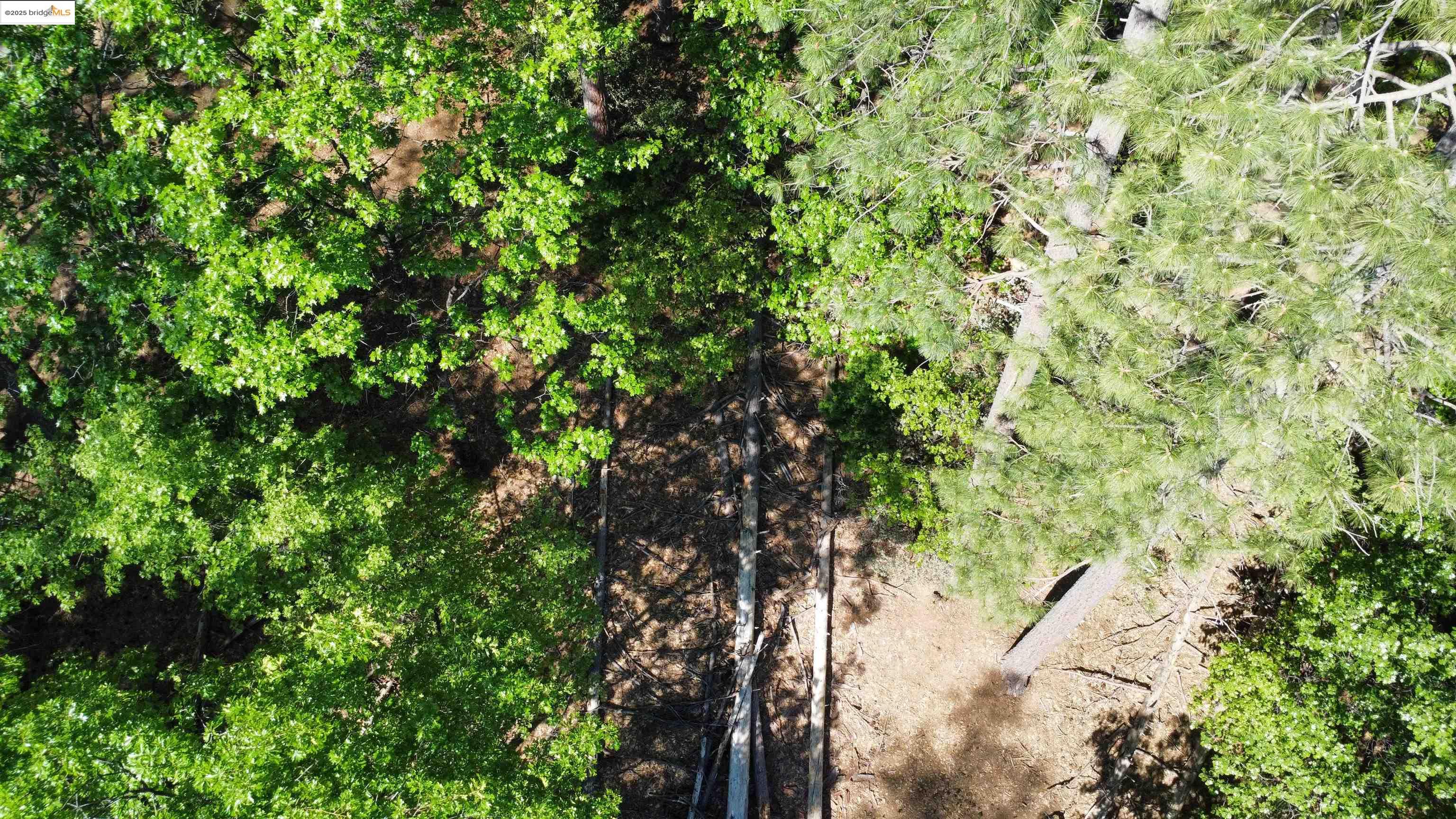 Detail Gallery Image 4 of 31 For 23804 S Oxbow Lane, Sonora,  CA 95370 - – Beds | – Baths