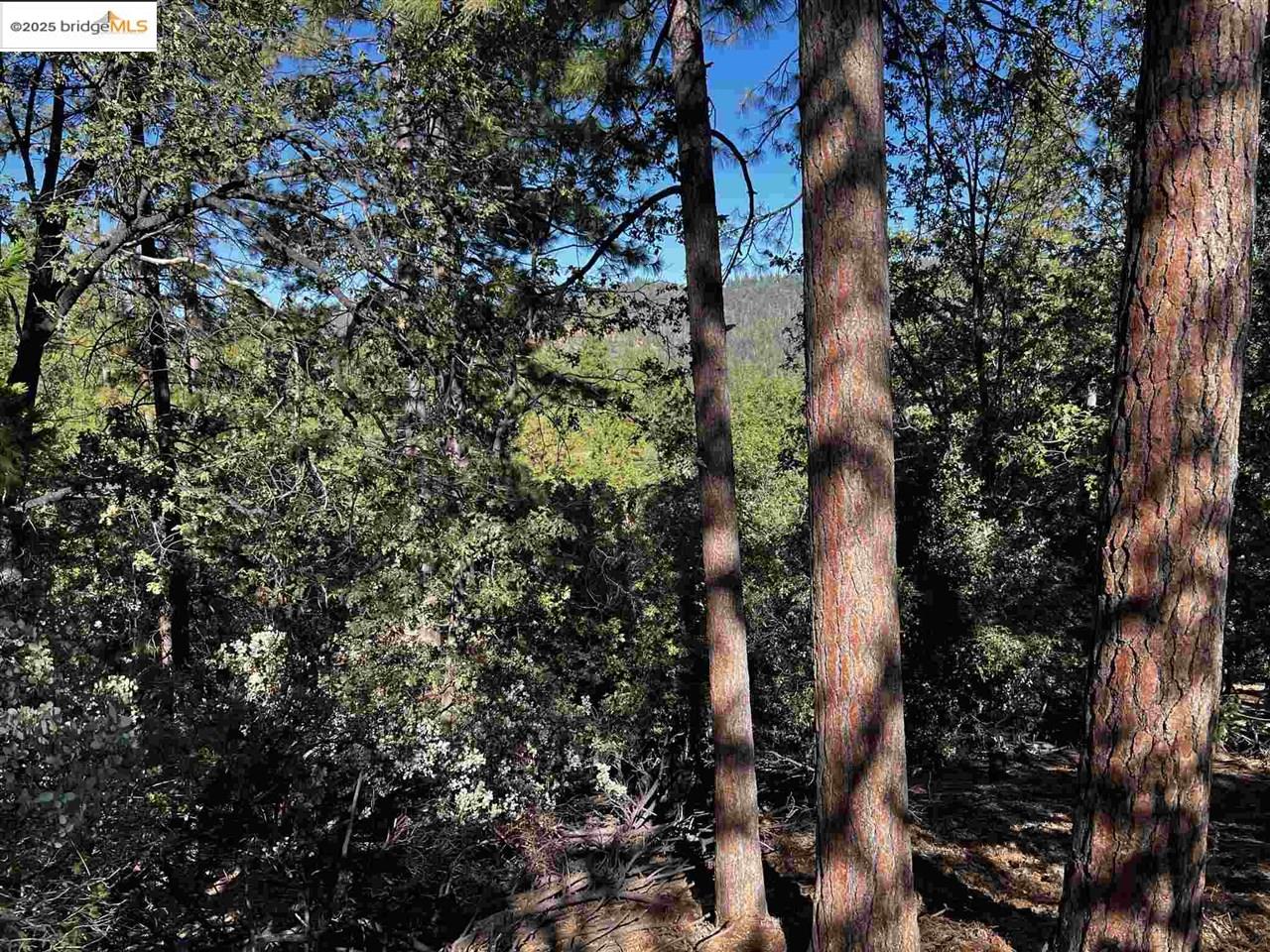 Detail Gallery Image 31 of 31 For 23804 S Oxbow Lane, Sonora,  CA 95370 - – Beds | – Baths