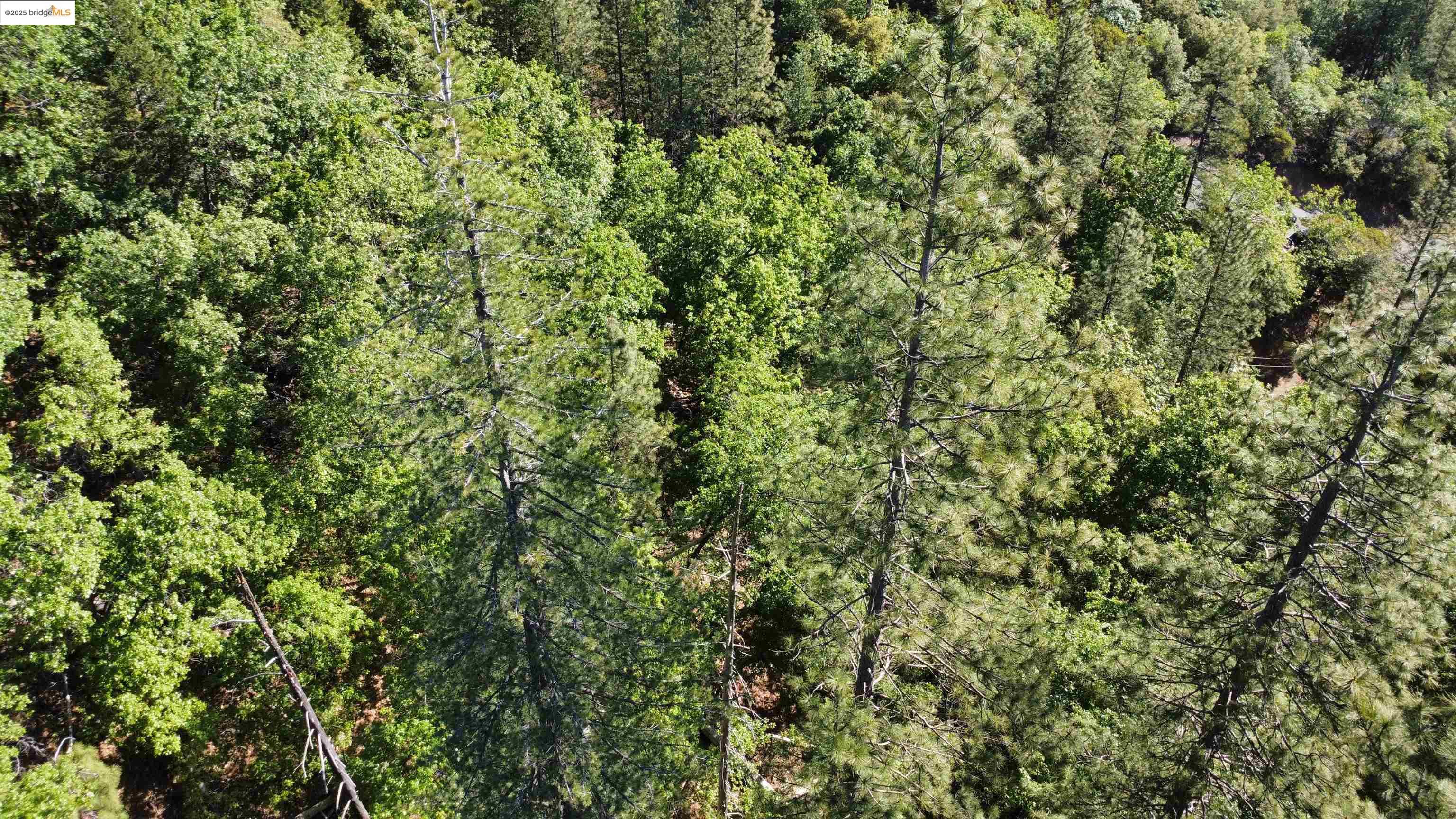 Detail Gallery Image 6 of 31 For 23804 S Oxbow Lane, Sonora,  CA 95370 - – Beds | – Baths