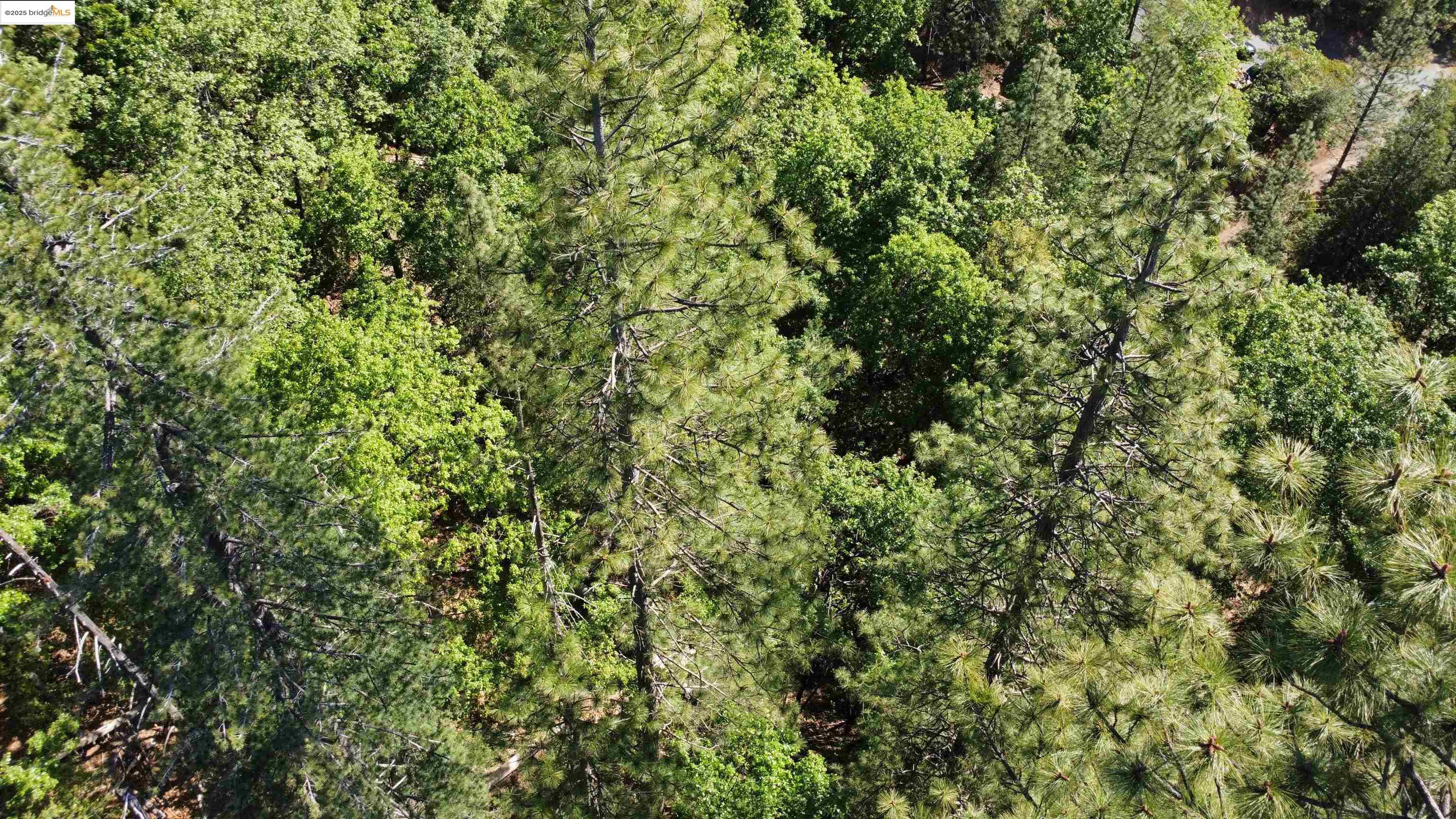 Detail Gallery Image 8 of 31 For 23804 S Oxbow Lane, Sonora,  CA 95370 - – Beds | – Baths