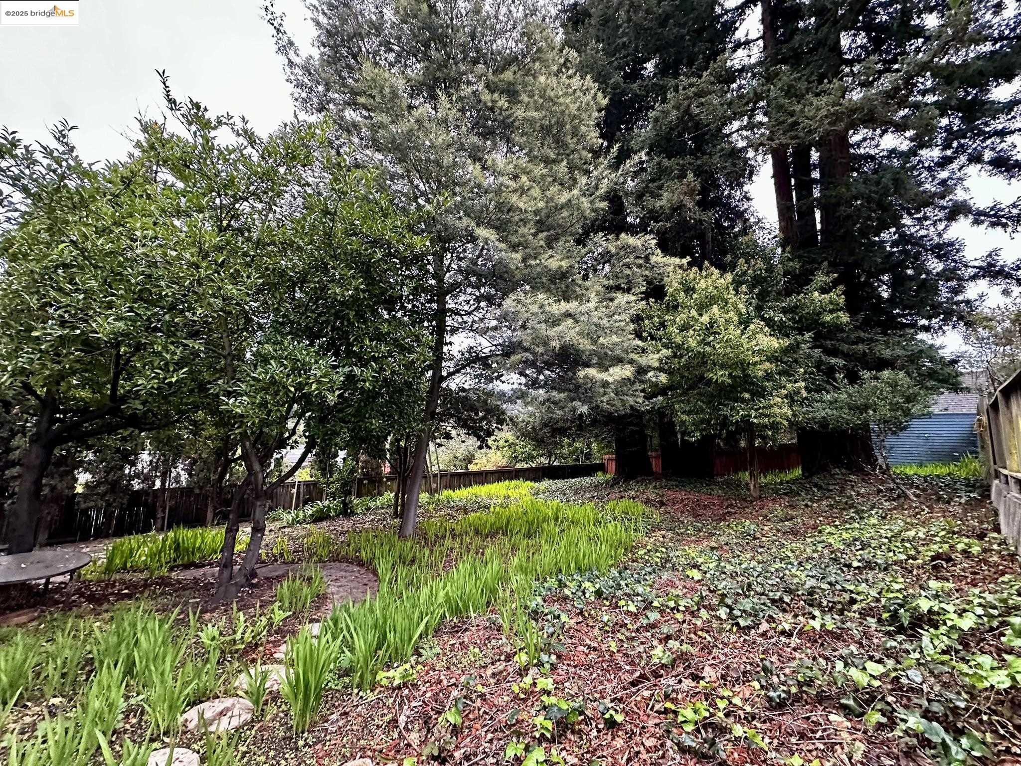 Detail Gallery Image 24 of 25 For 6014 La Salle Ave, Oakland,  CA 94611 - 3 Beds | 2 Baths