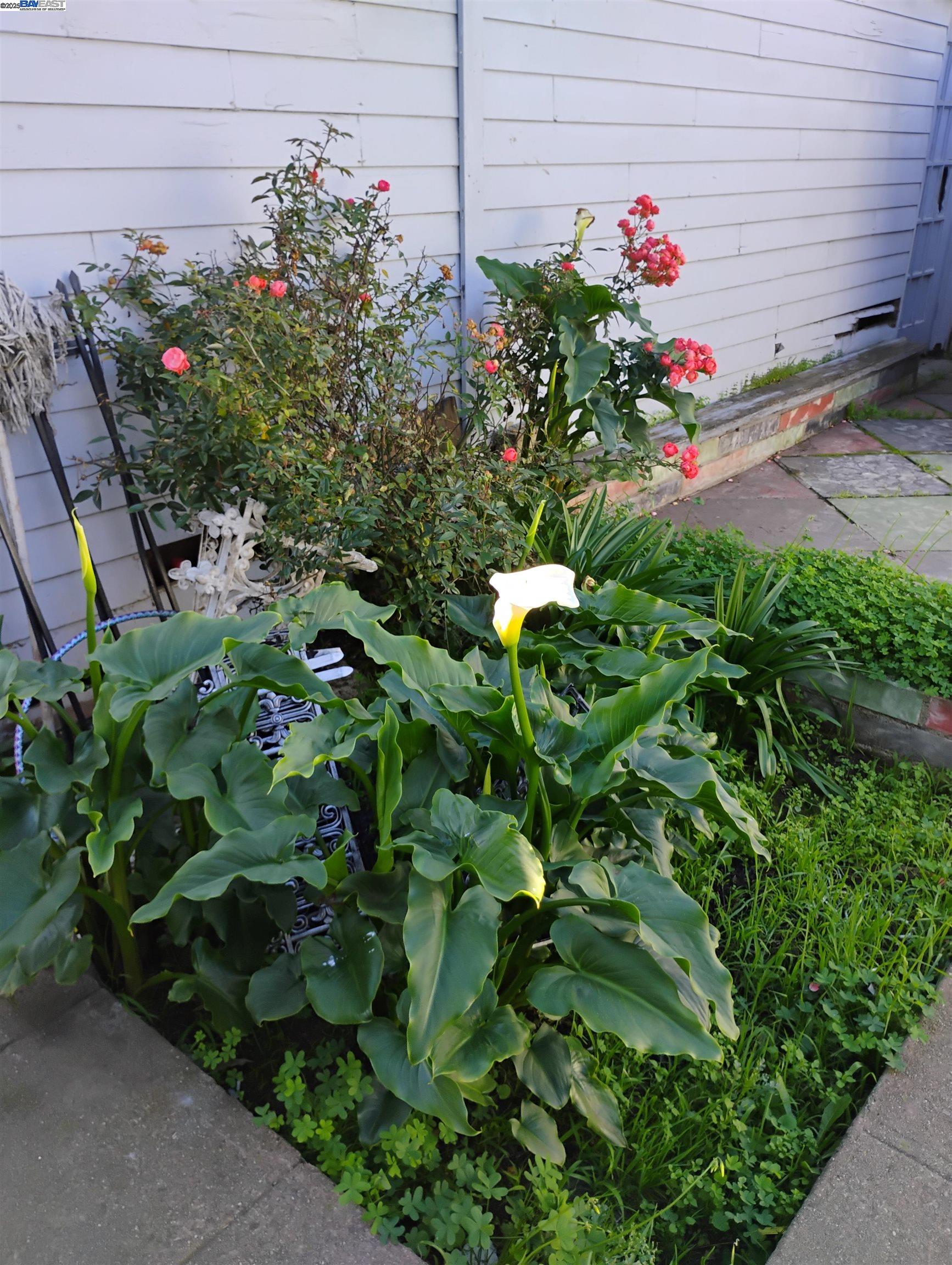 Detail Gallery Image 31 of 49 For 2621 66th Avenue, Oakland,  CA 94605 - 2 Beds | 1 Baths