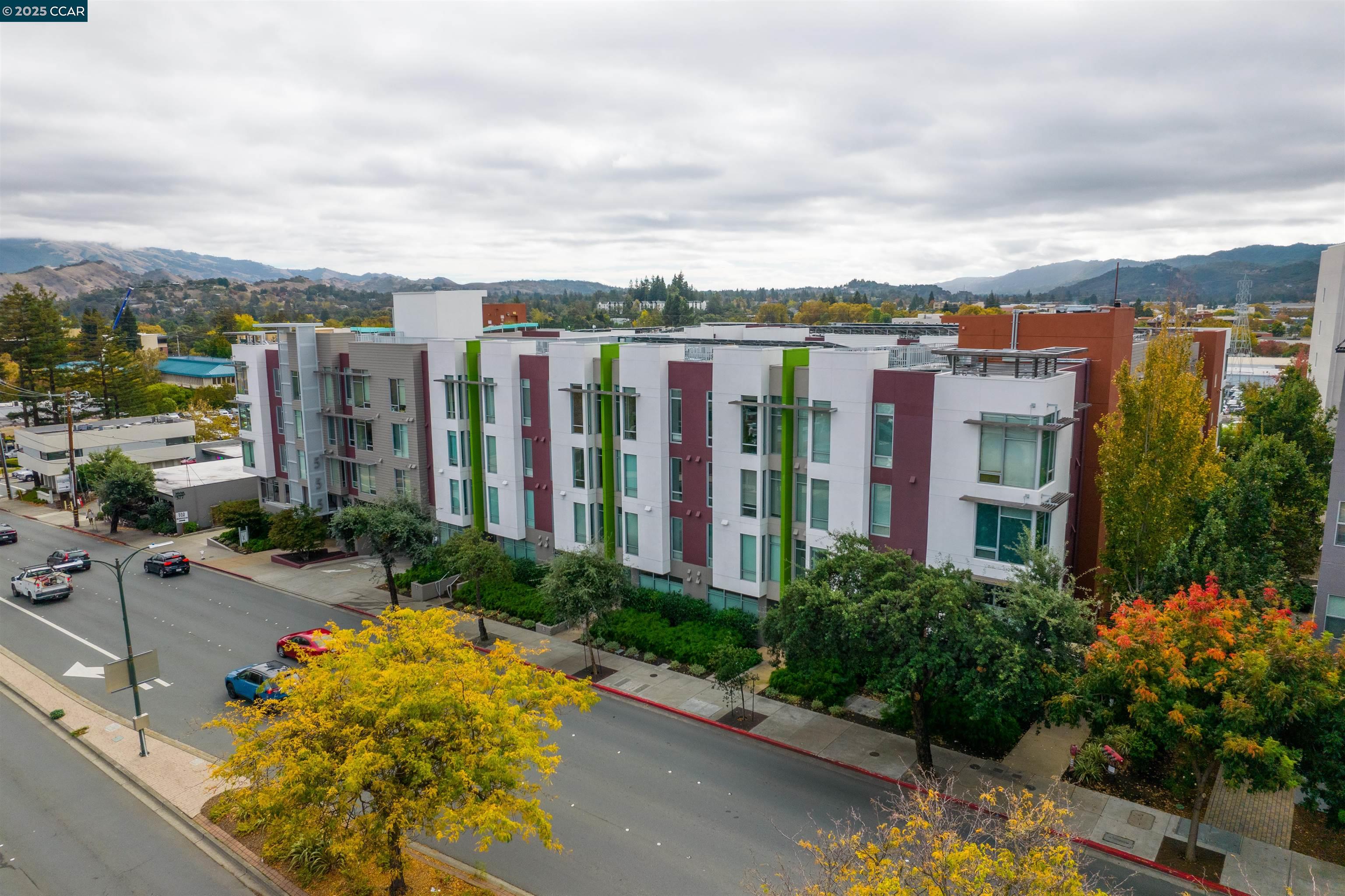 Front Image Thumbnail for CC41117466