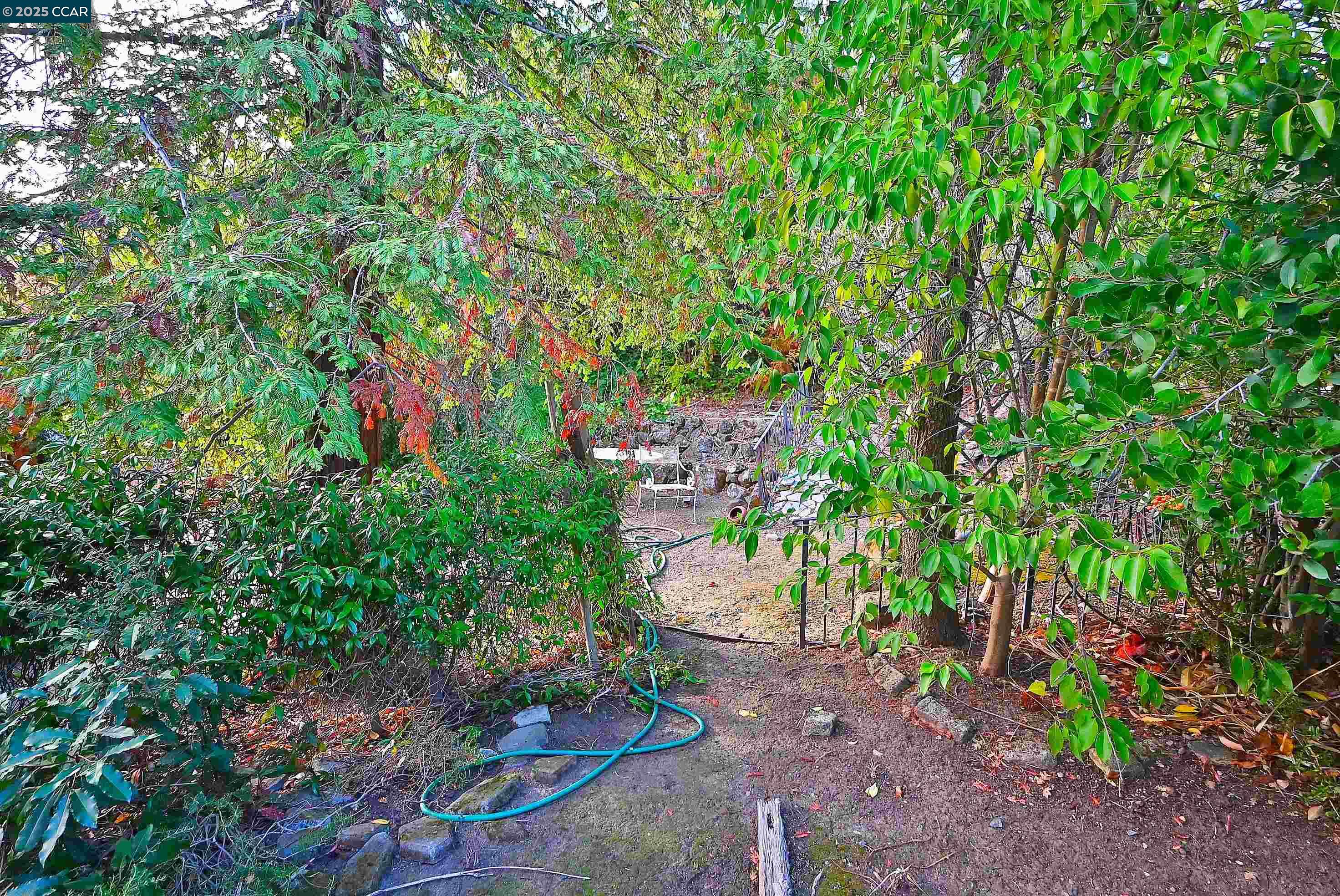 Detail Gallery Image 20 of 26 For 3160 Walnut Blvd, Walnut Creek,  CA 94597 - 3 Beds | 1 Baths