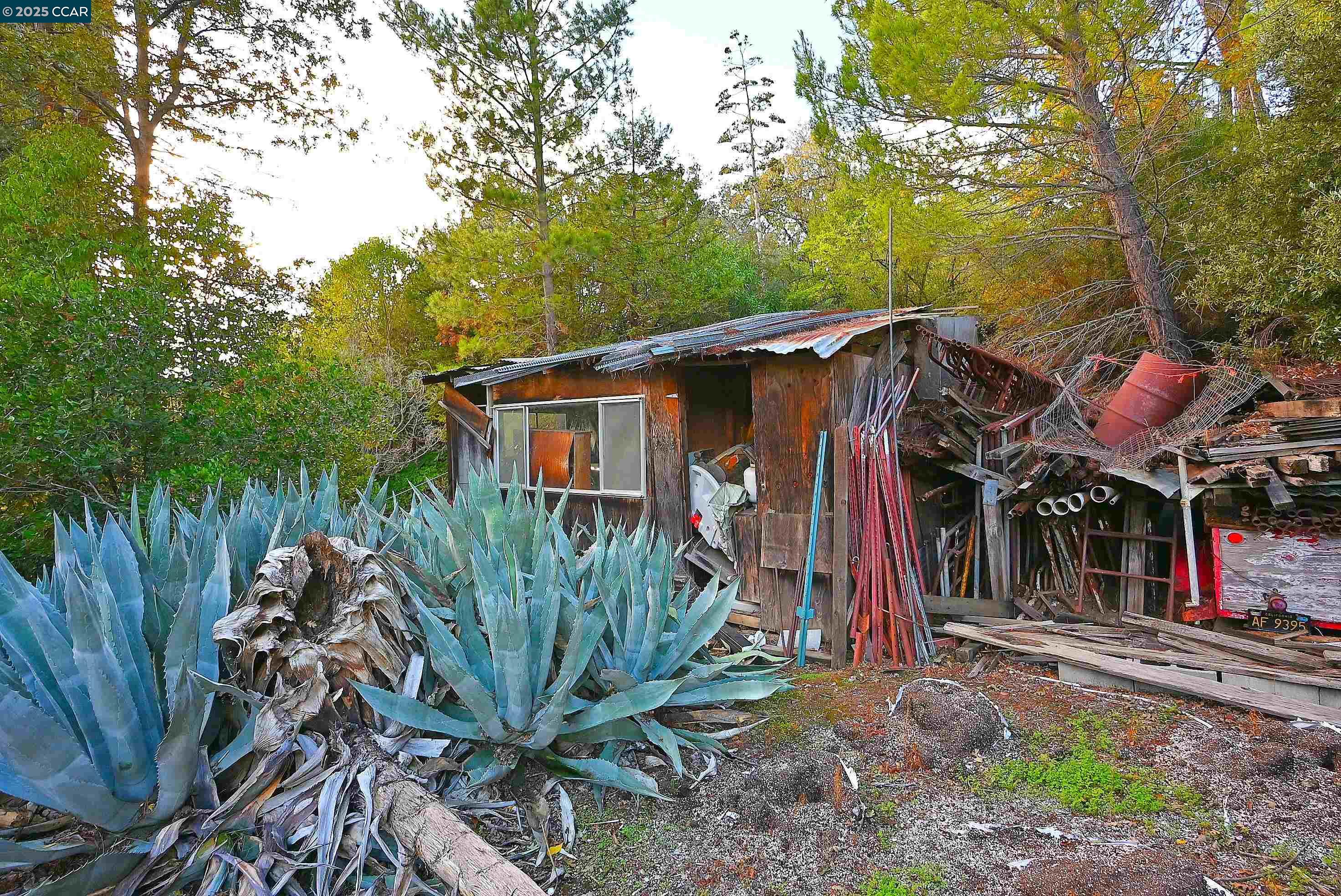 Detail Gallery Image 21 of 26 For 3160 Walnut Blvd, Walnut Creek,  CA 94597 - 3 Beds | 1 Baths