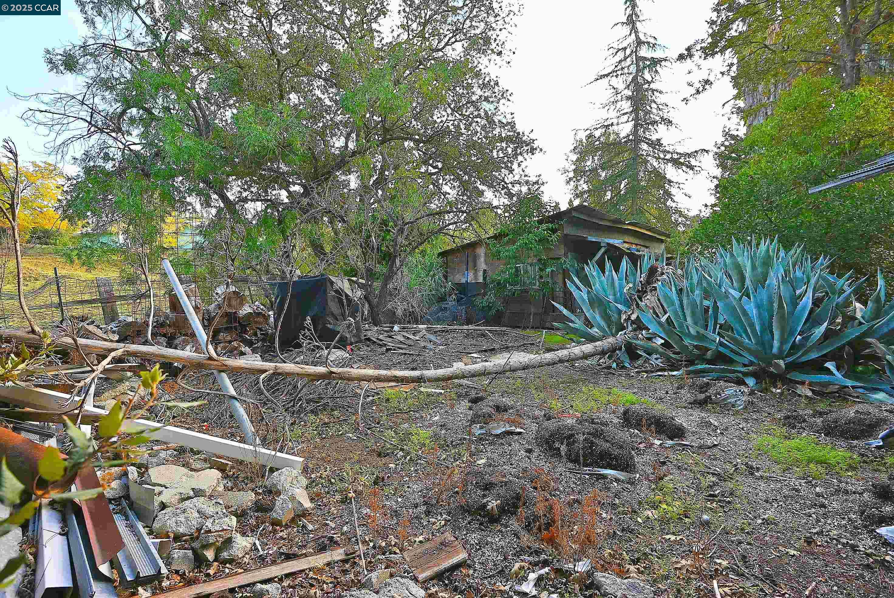 Detail Gallery Image 22 of 26 For 3160 Walnut Blvd, Walnut Creek,  CA 94597 - 3 Beds | 1 Baths