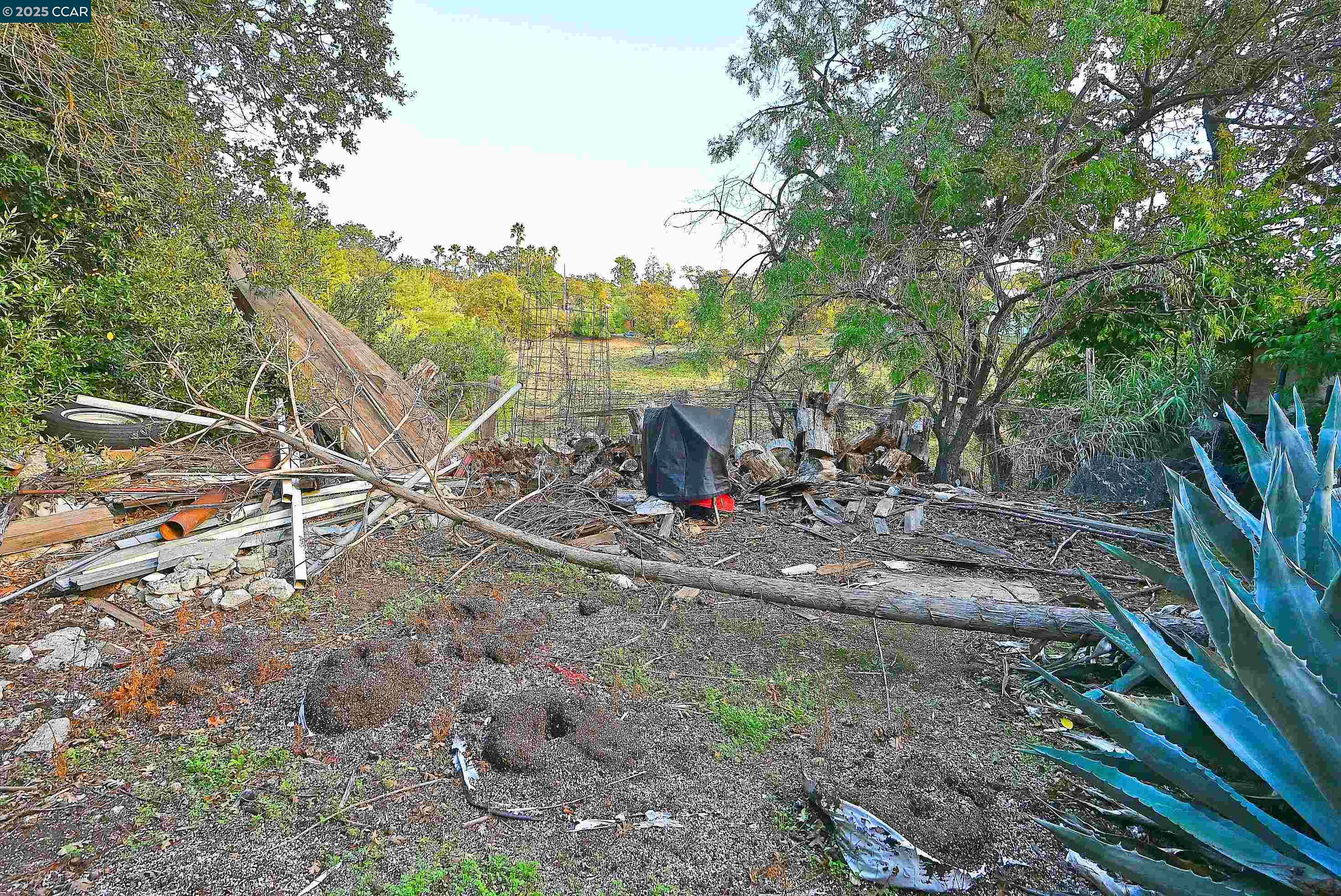 Detail Gallery Image 23 of 26 For 3160 Walnut Blvd, Walnut Creek,  CA 94597 - 3 Beds | 1 Baths