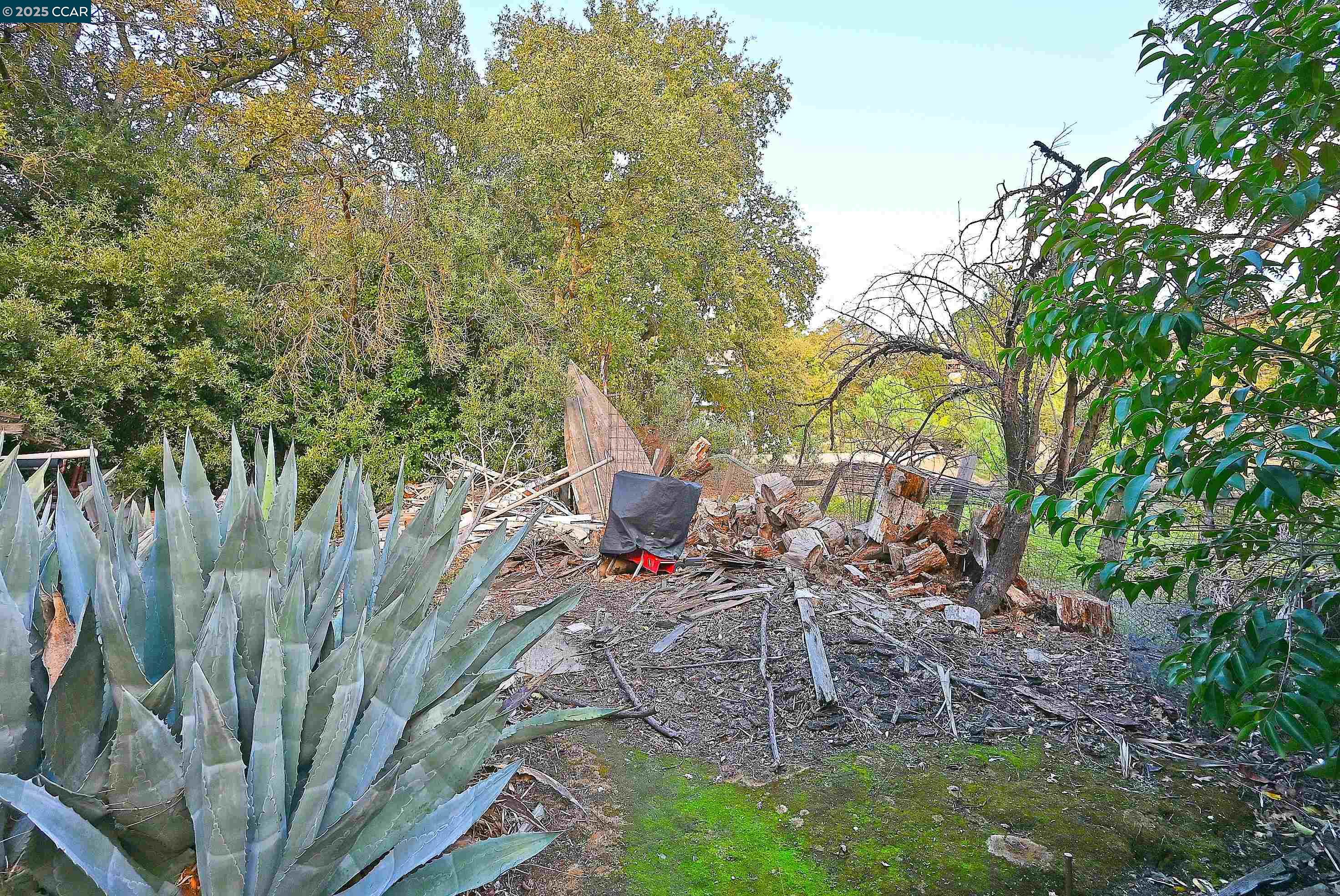 Detail Gallery Image 24 of 26 For 3160 Walnut Blvd, Walnut Creek,  CA 94597 - 3 Beds | 1 Baths