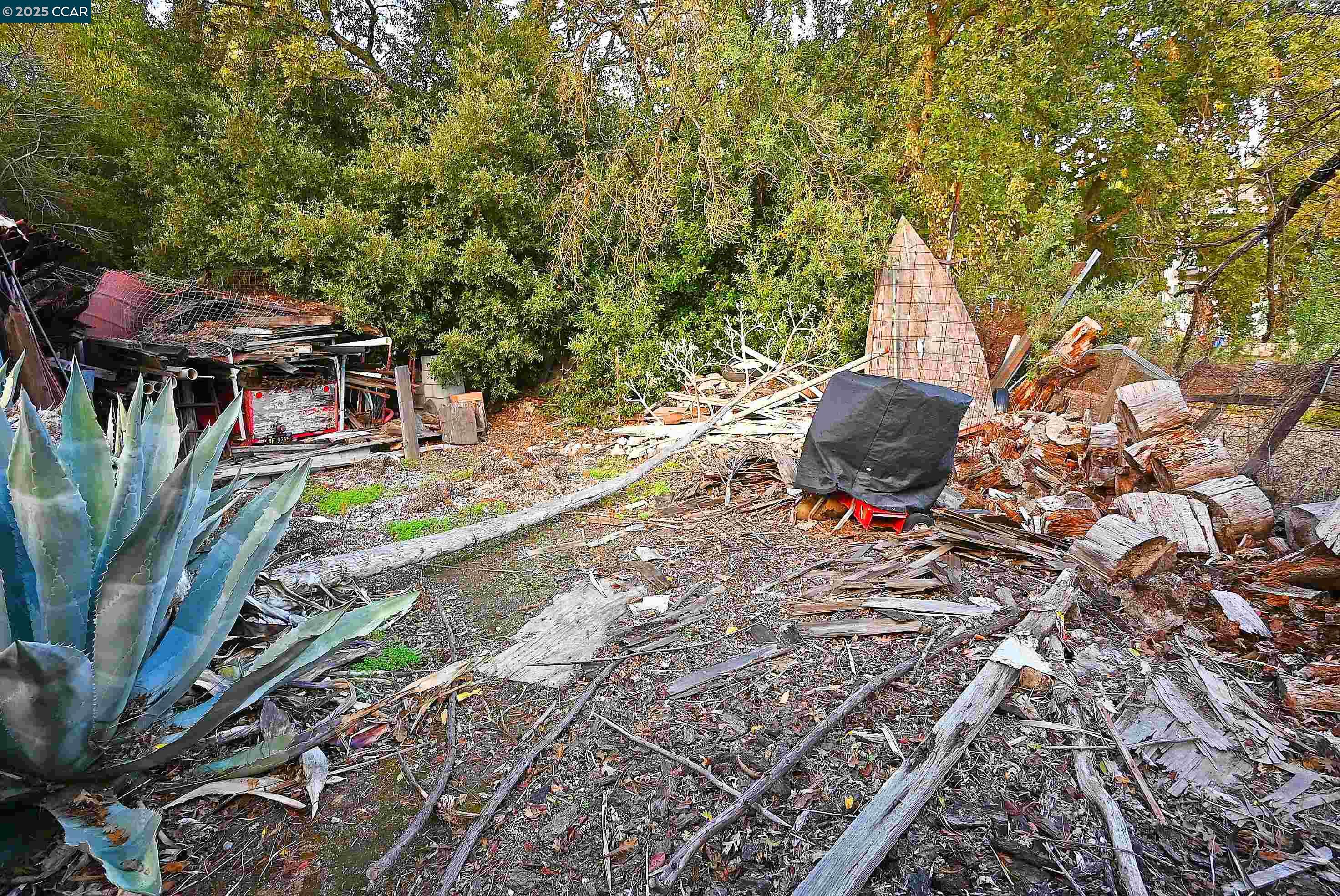 Detail Gallery Image 25 of 26 For 3160 Walnut Blvd, Walnut Creek,  CA 94597 - 3 Beds | 1 Baths