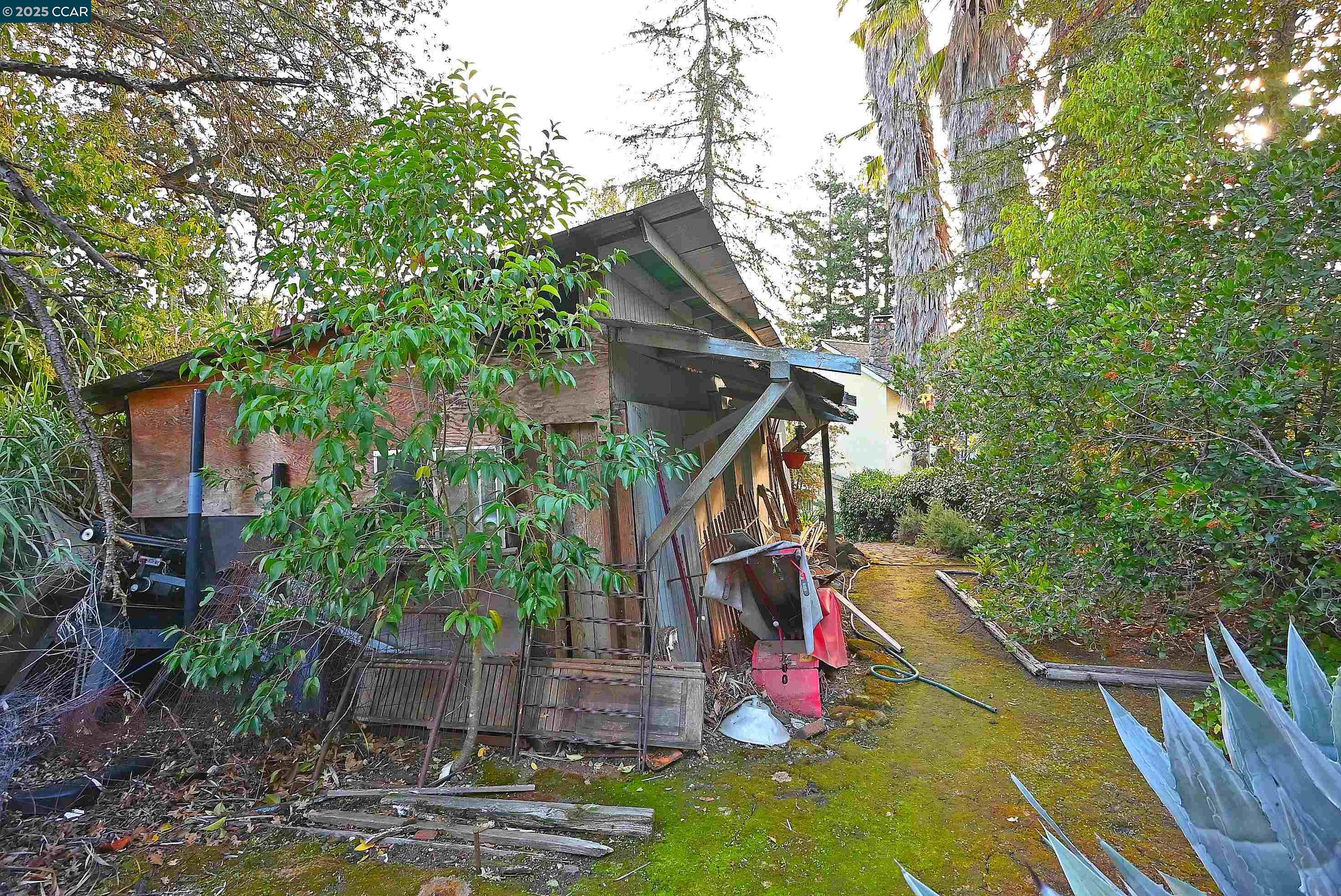 Detail Gallery Image 26 of 26 For 3160 Walnut Blvd, Walnut Creek,  CA 94597 - 3 Beds | 1 Baths