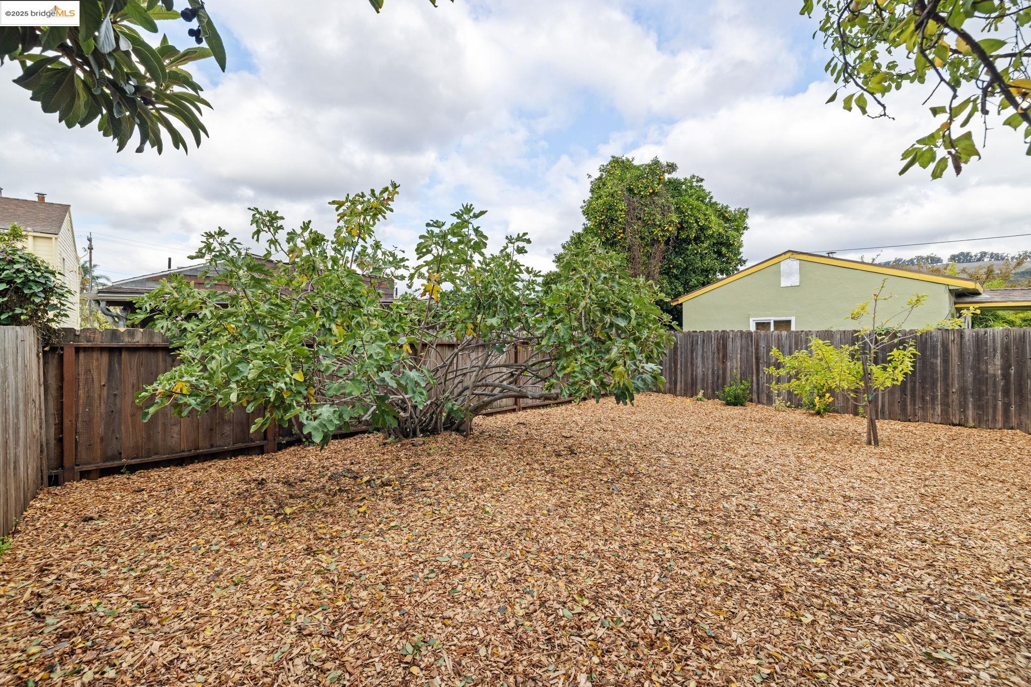 Detail Gallery Image 31 of 42 For 1565 Fir Ave, –,  CA 94578 - 2 Beds | 1 Baths