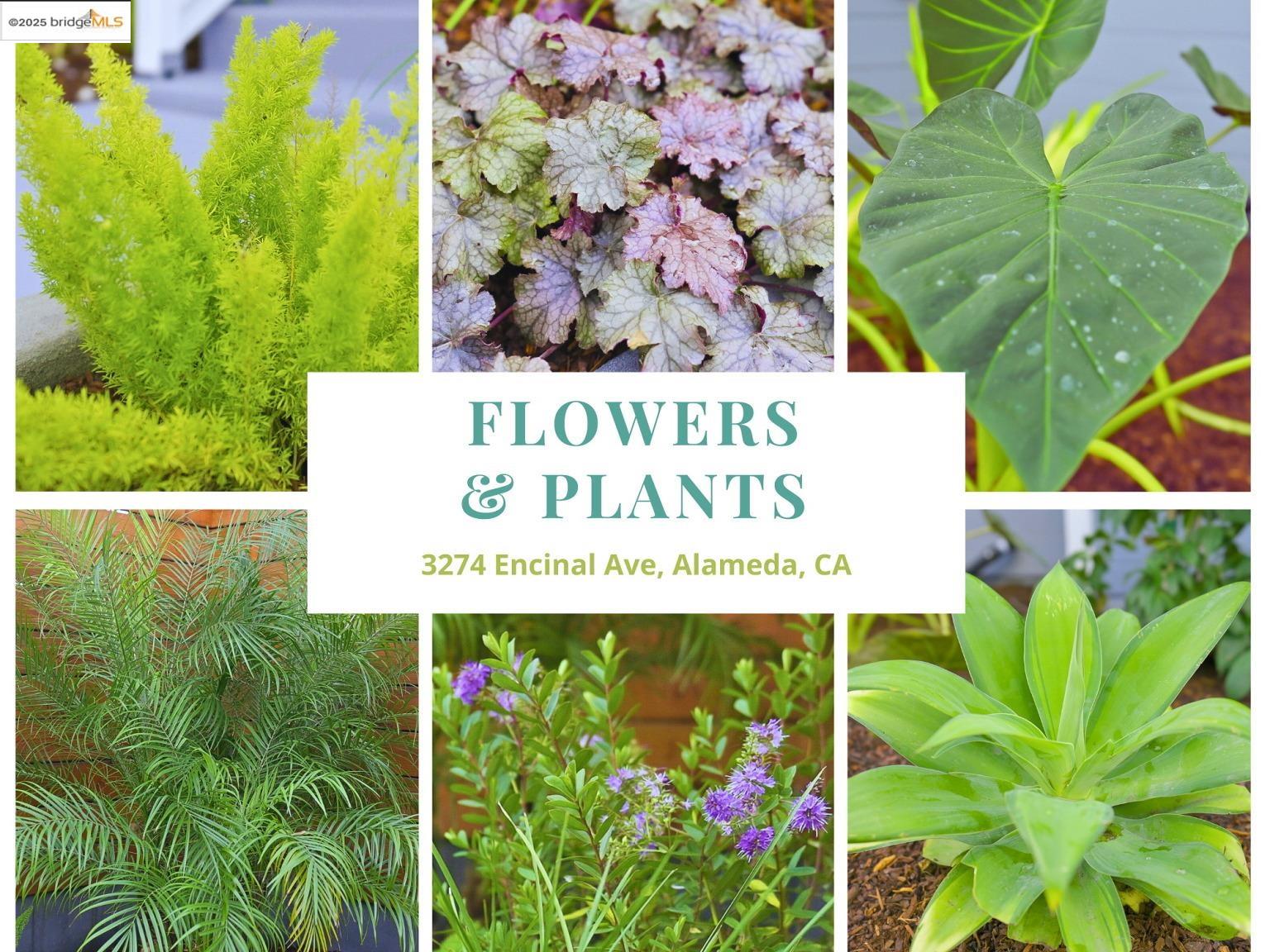 Detail Gallery Image 47 of 60 For 3274 Encinal Ave, Alameda,  CA 94501 - 3 Beds | 2 Baths