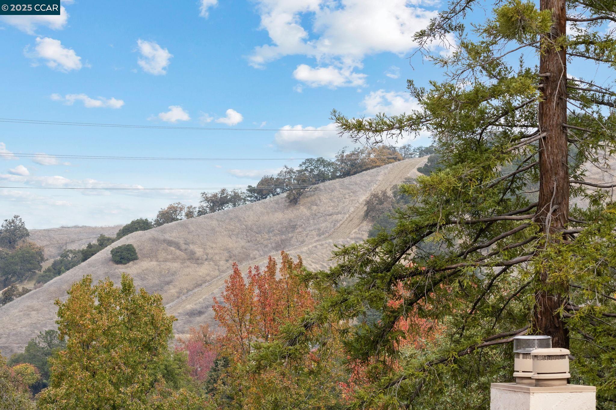 Detail Gallery Image 46 of 47 For 1129 Avenida Sevilla 5b,  Walnut Creek,  CA 94595 - 2 Beds | 2 Baths