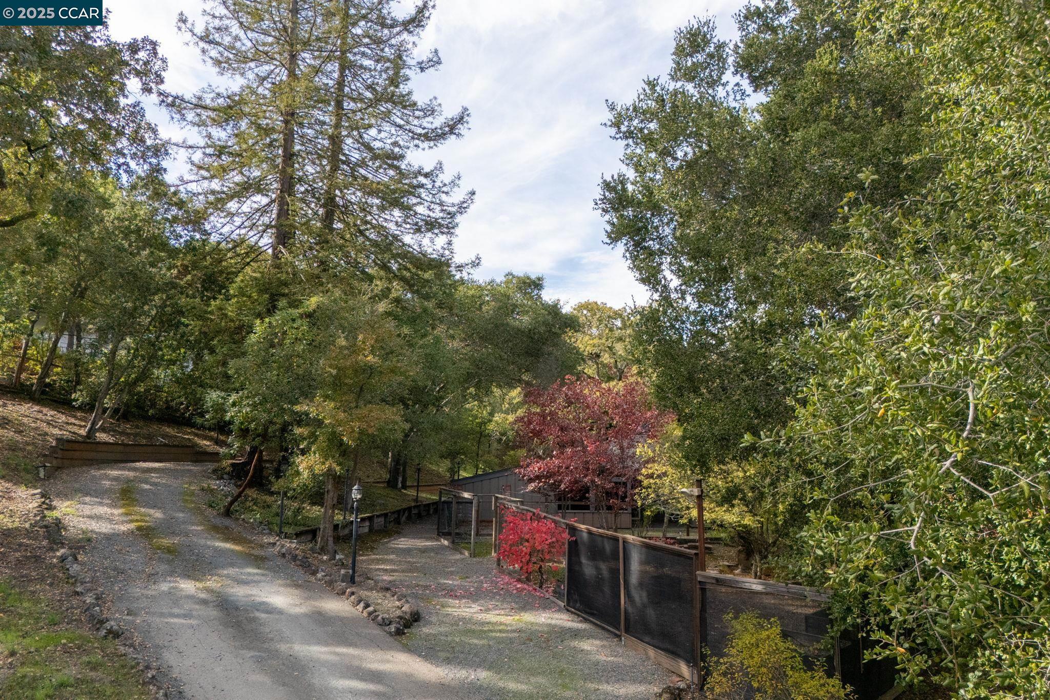 Detail Gallery Image 4 of 42 For 230 Moraga Way, Orinda,  CA 94563-3837 - 3 Beds | 3 Baths