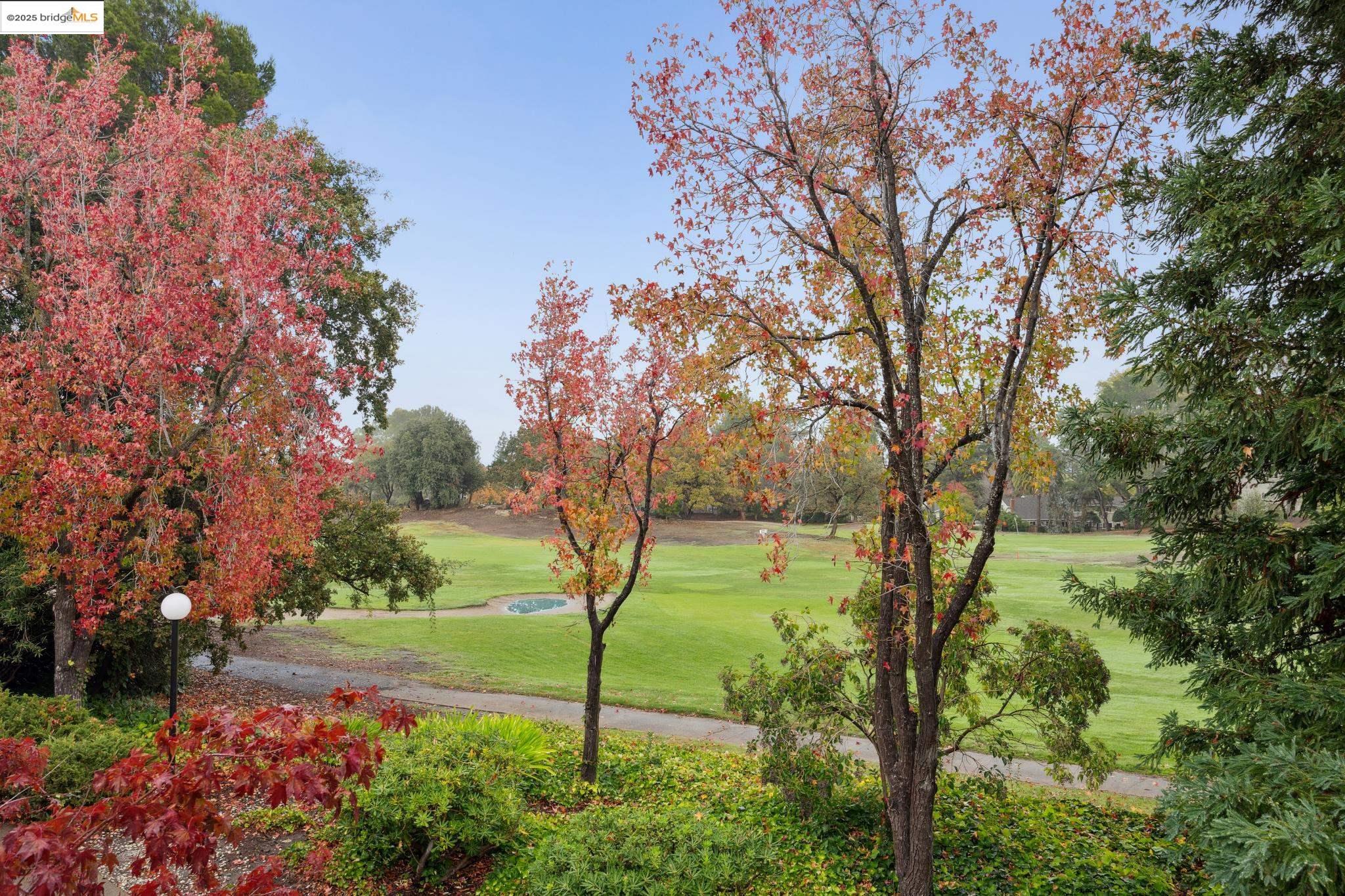 Detail Gallery Image 12 of 28 For 1471 Marchbanks Dr #4,  Walnut Creek,  CA 94598 - 1 Beds | 1 Baths