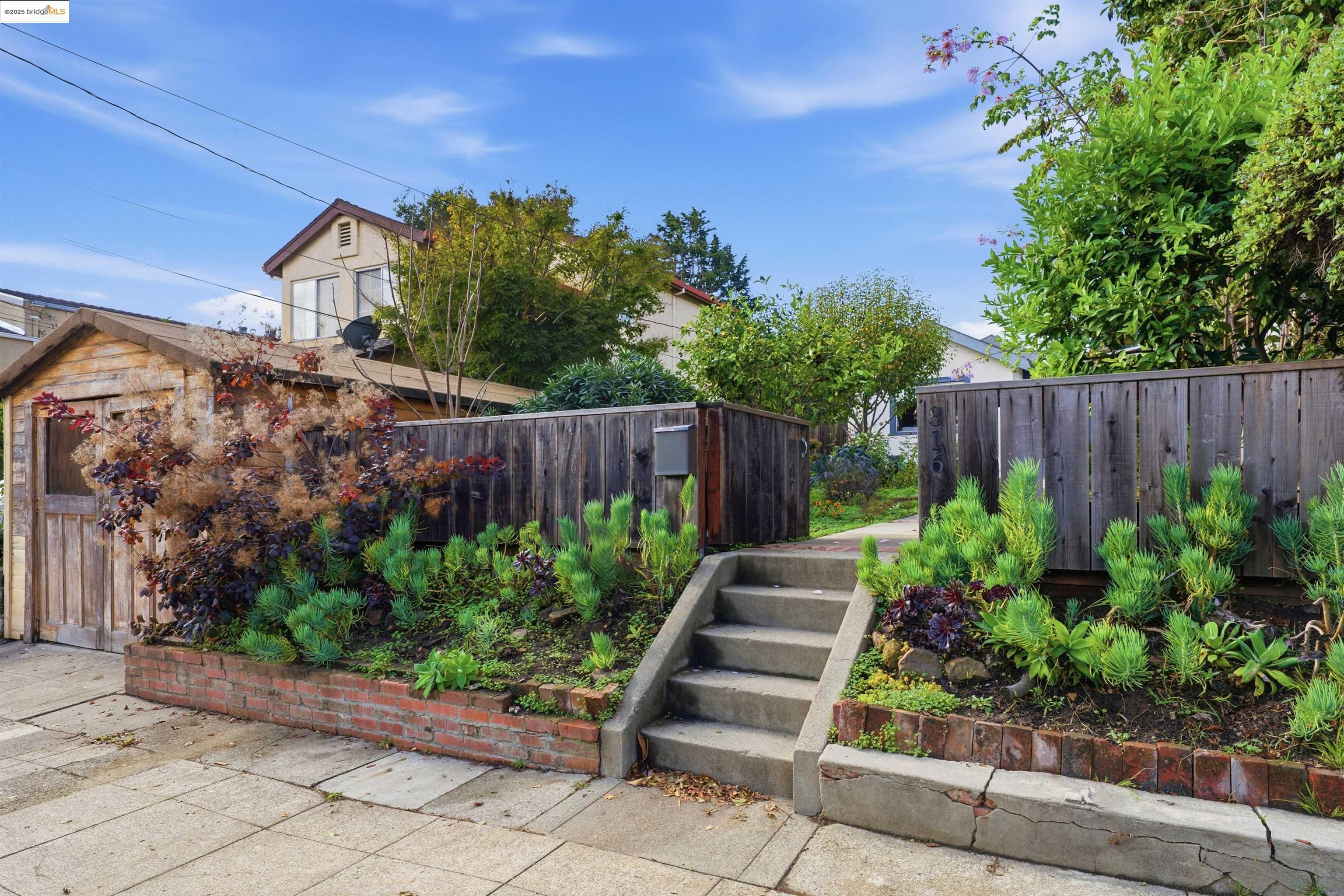 Detail Gallery Image 2 of 31 For 816 Madison St, Albany,  CA 94706-1616 - 1 Beds | 1 Baths