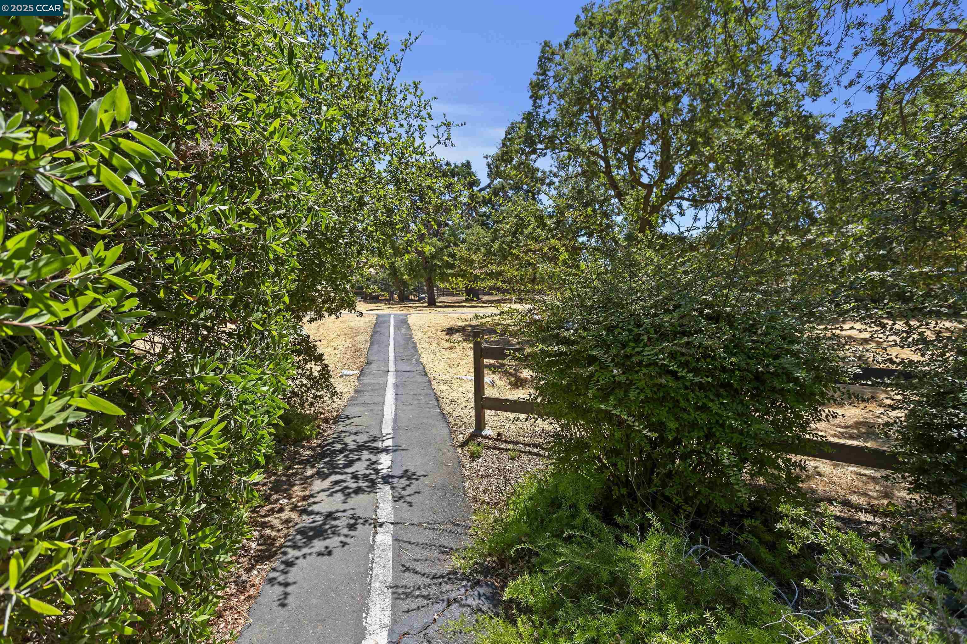 Photo #36: 41117795 Listing: Photo #36