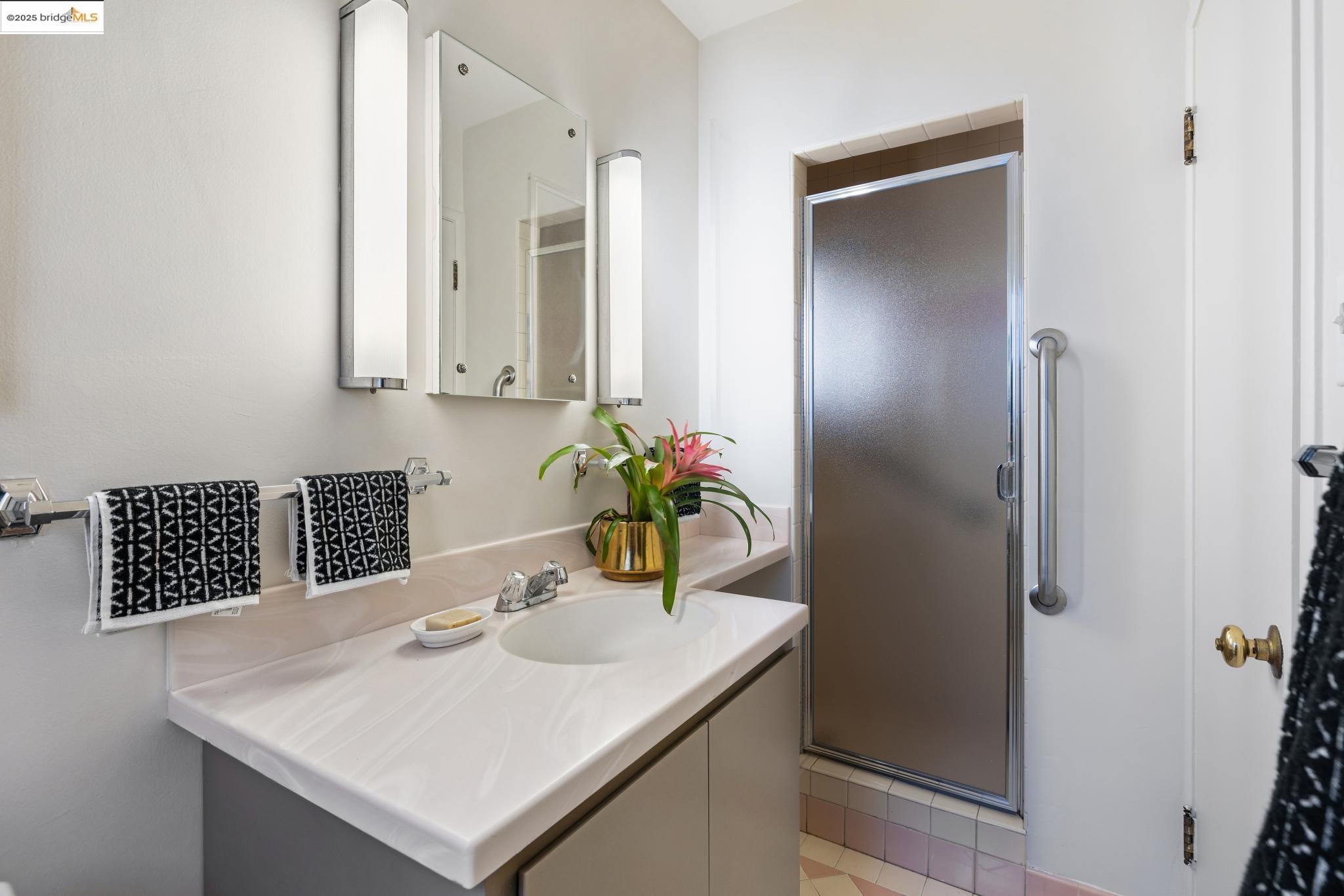 Detail Gallery Image 30 of 57 For 256 Cambridge Ave, Kensington,  CA 94708 - 4 Beds | 4 Baths