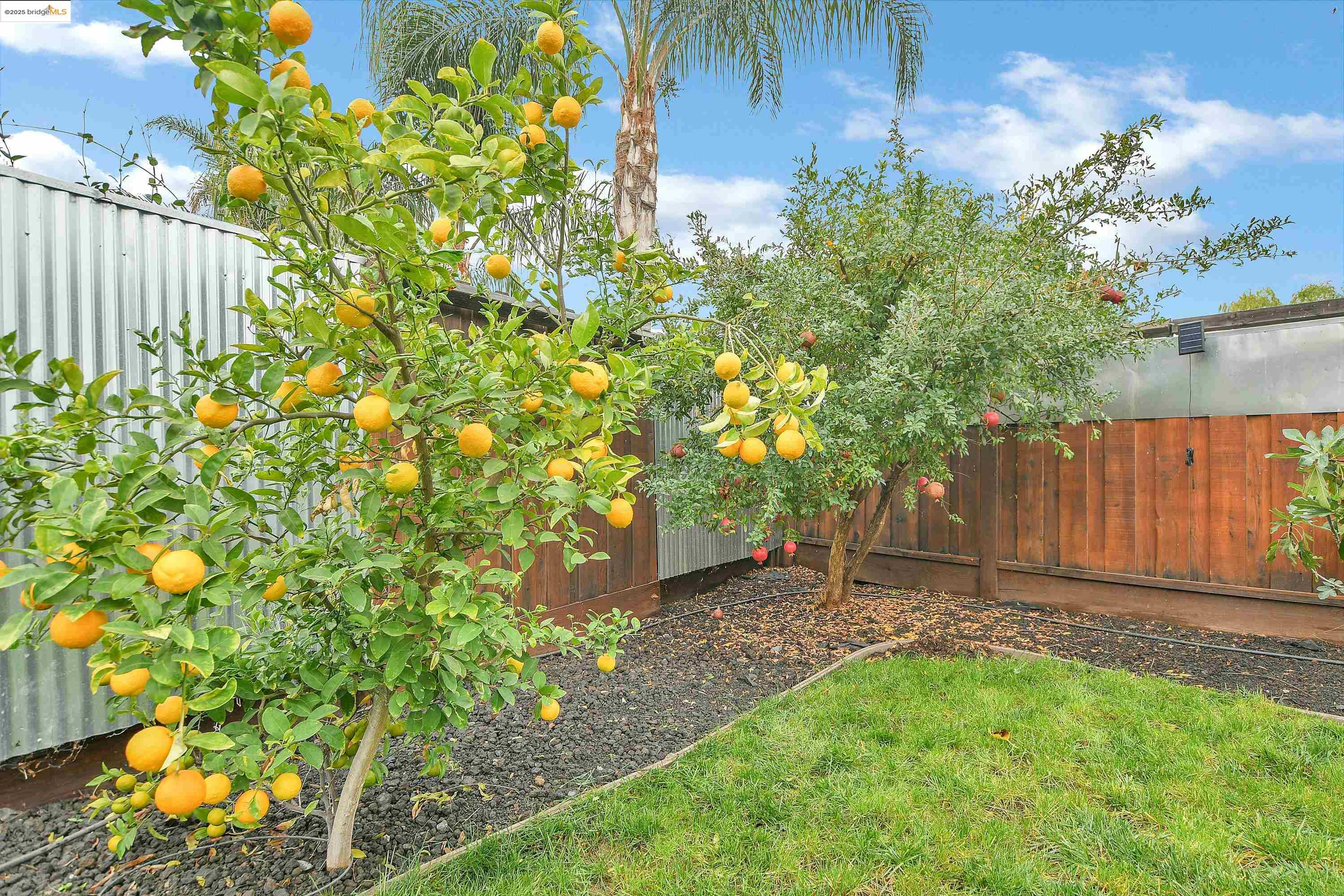 Detail Gallery Image 35 of 42 For 621 Avington Ct, Brentwood,  CA 94513 - 4 Beds | 2/1 Baths