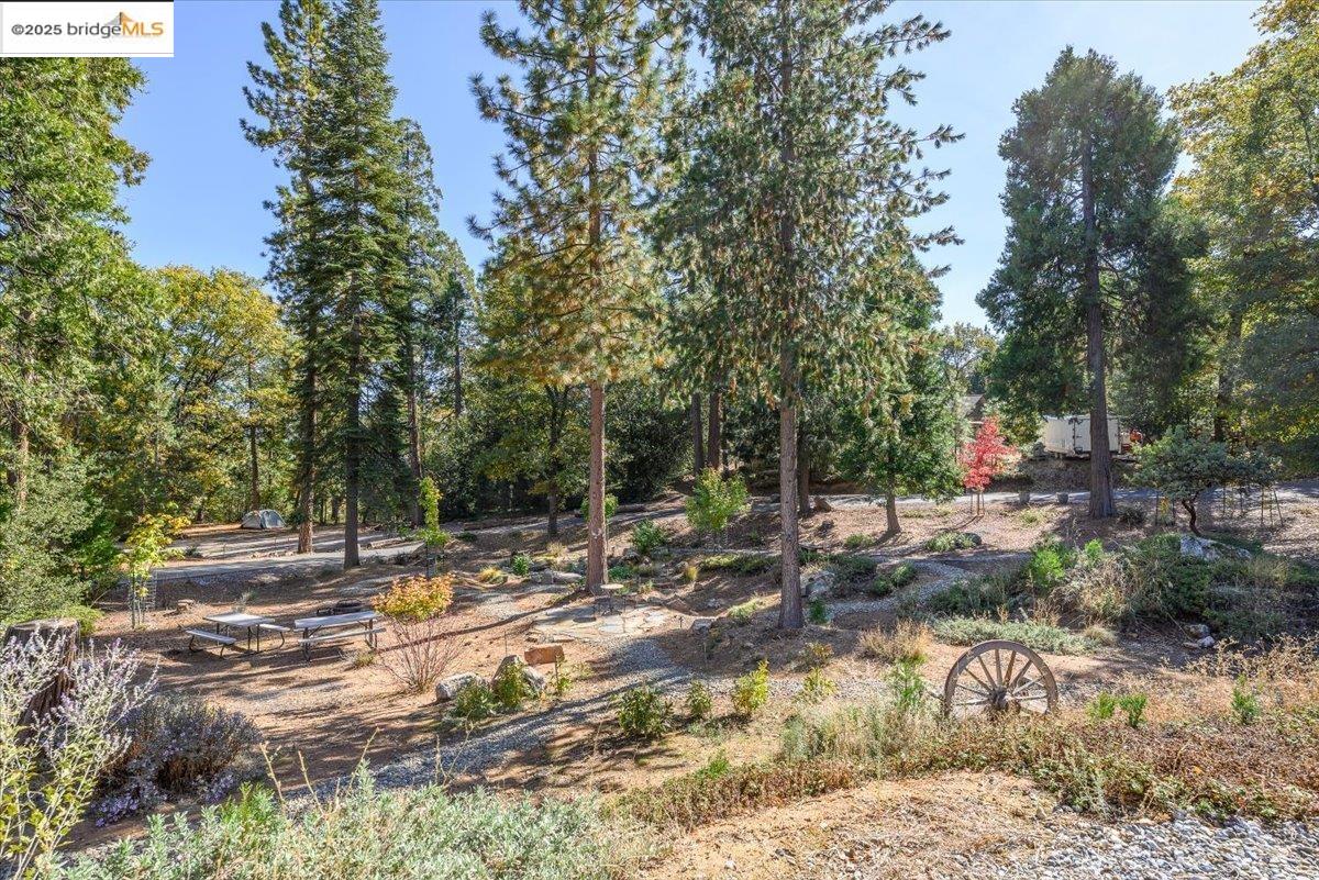 Detail Gallery Image 51 of 60 For 19800 Six Point Ct, Twain Harte,  CA 95383 - 3 Beds | 2 Baths