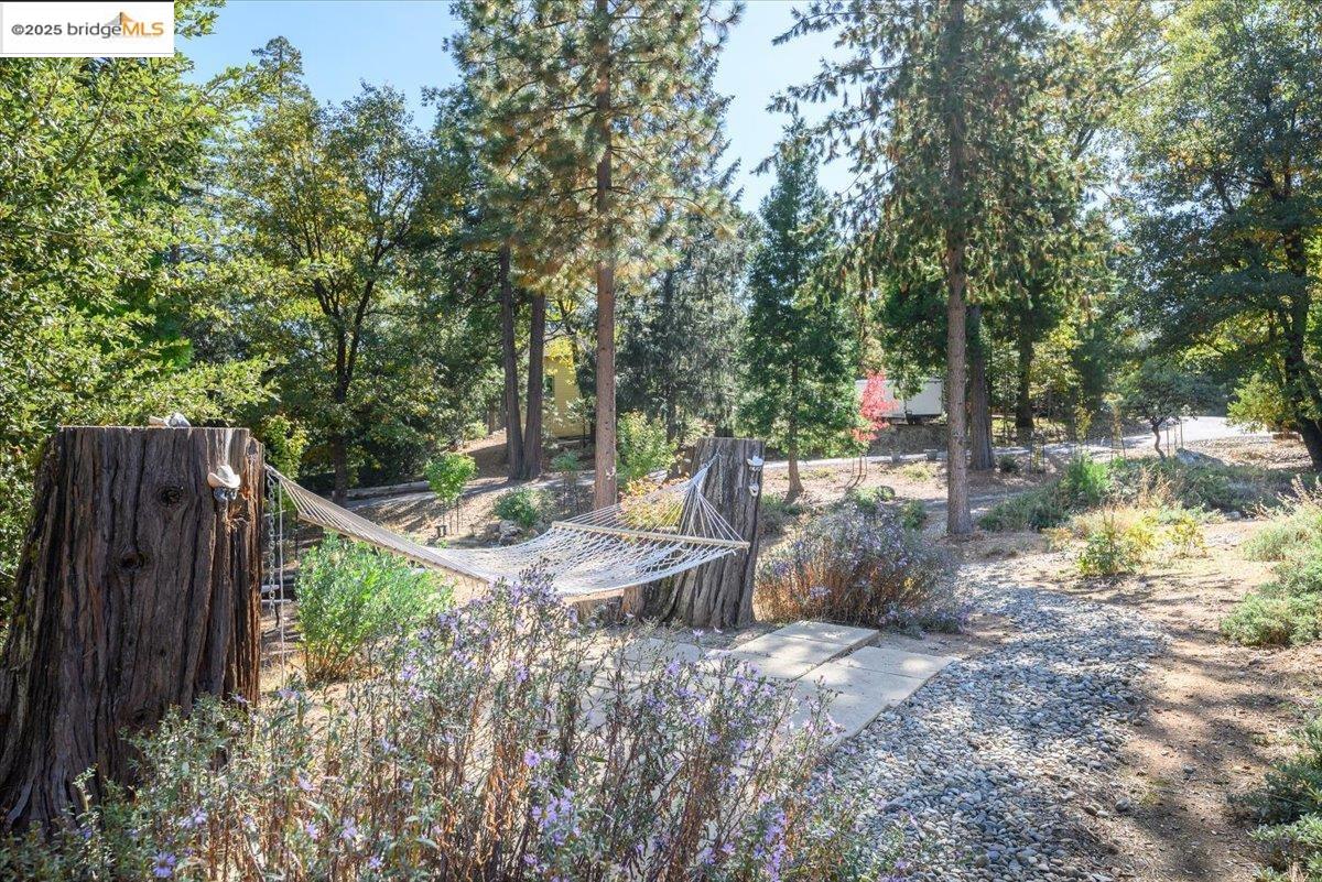 Detail Gallery Image 52 of 60 For 19800 Six Point Ct, Twain Harte,  CA 95383 - 3 Beds | 2 Baths