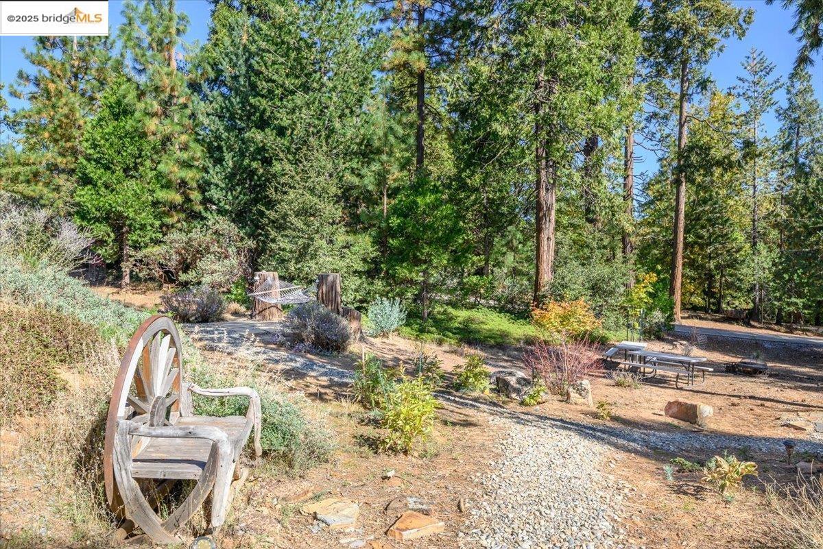 Detail Gallery Image 53 of 60 For 19800 Six Point Ct, Twain Harte,  CA 95383 - 3 Beds | 2 Baths