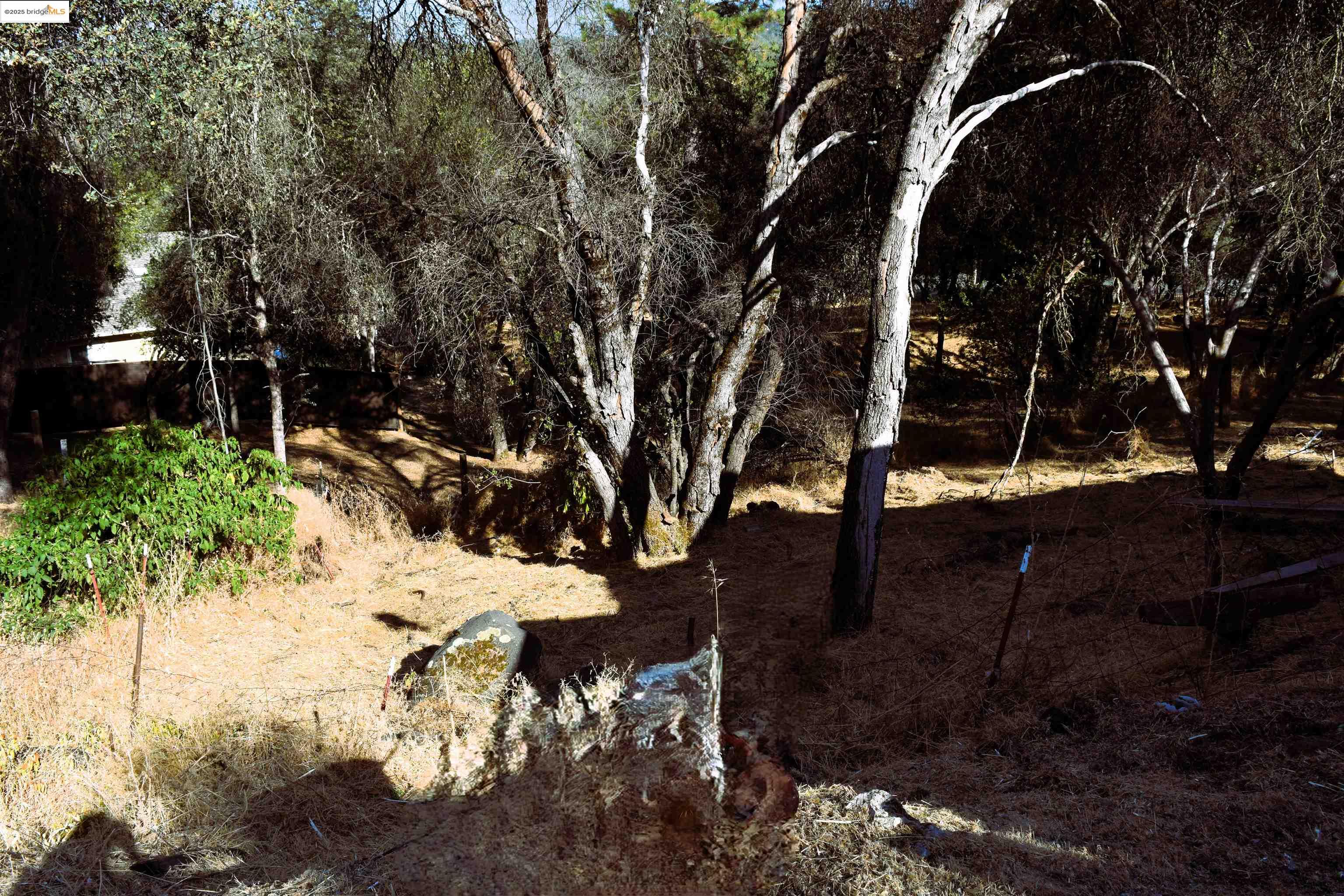 Detail Gallery Image 6 of 13 For 20739 Lower Hillview, Sonora,  CA 95370 - – Beds | – Baths