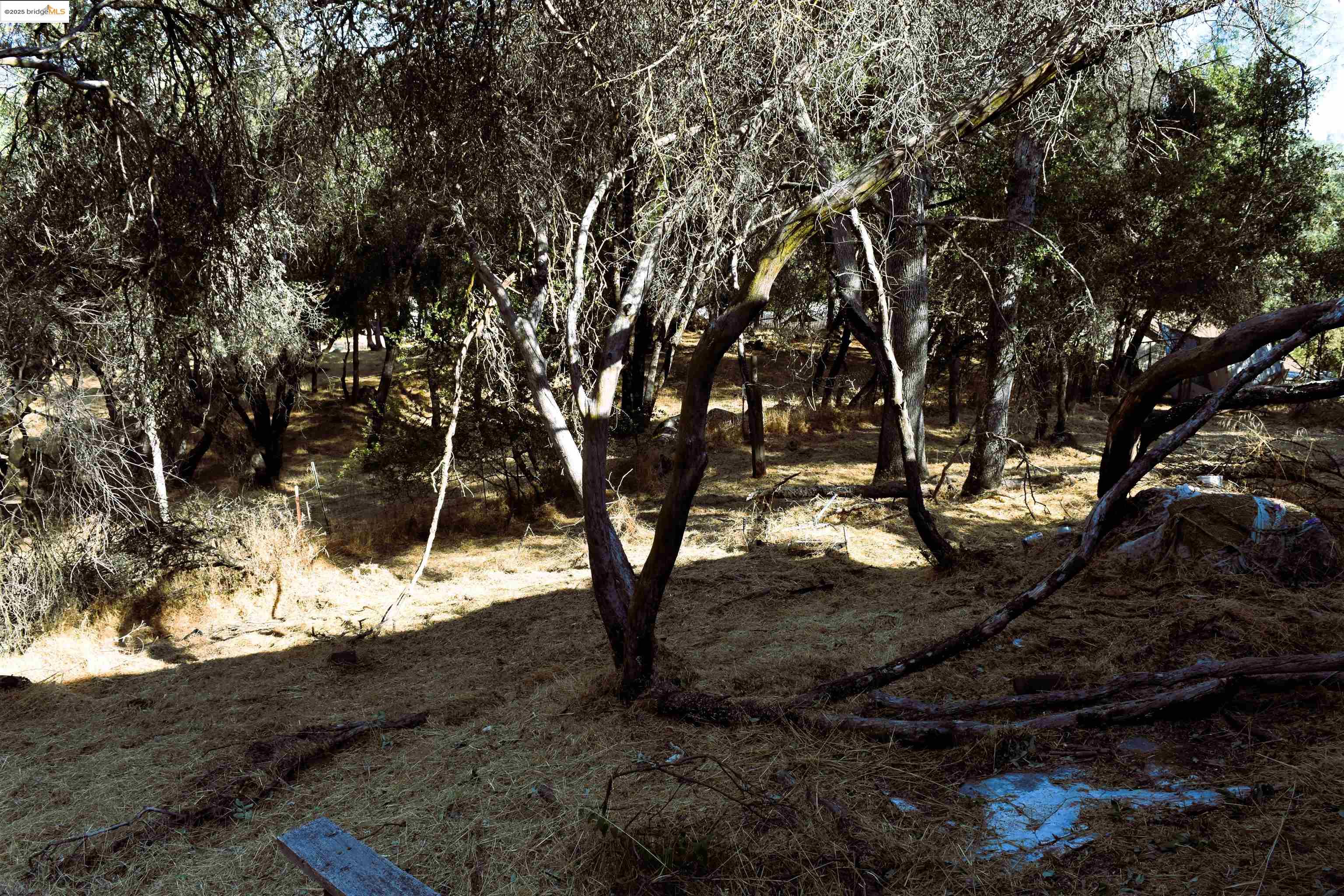 Detail Gallery Image 7 of 13 For 20739 Lower Hillview, Sonora,  CA 95370 - – Beds | – Baths