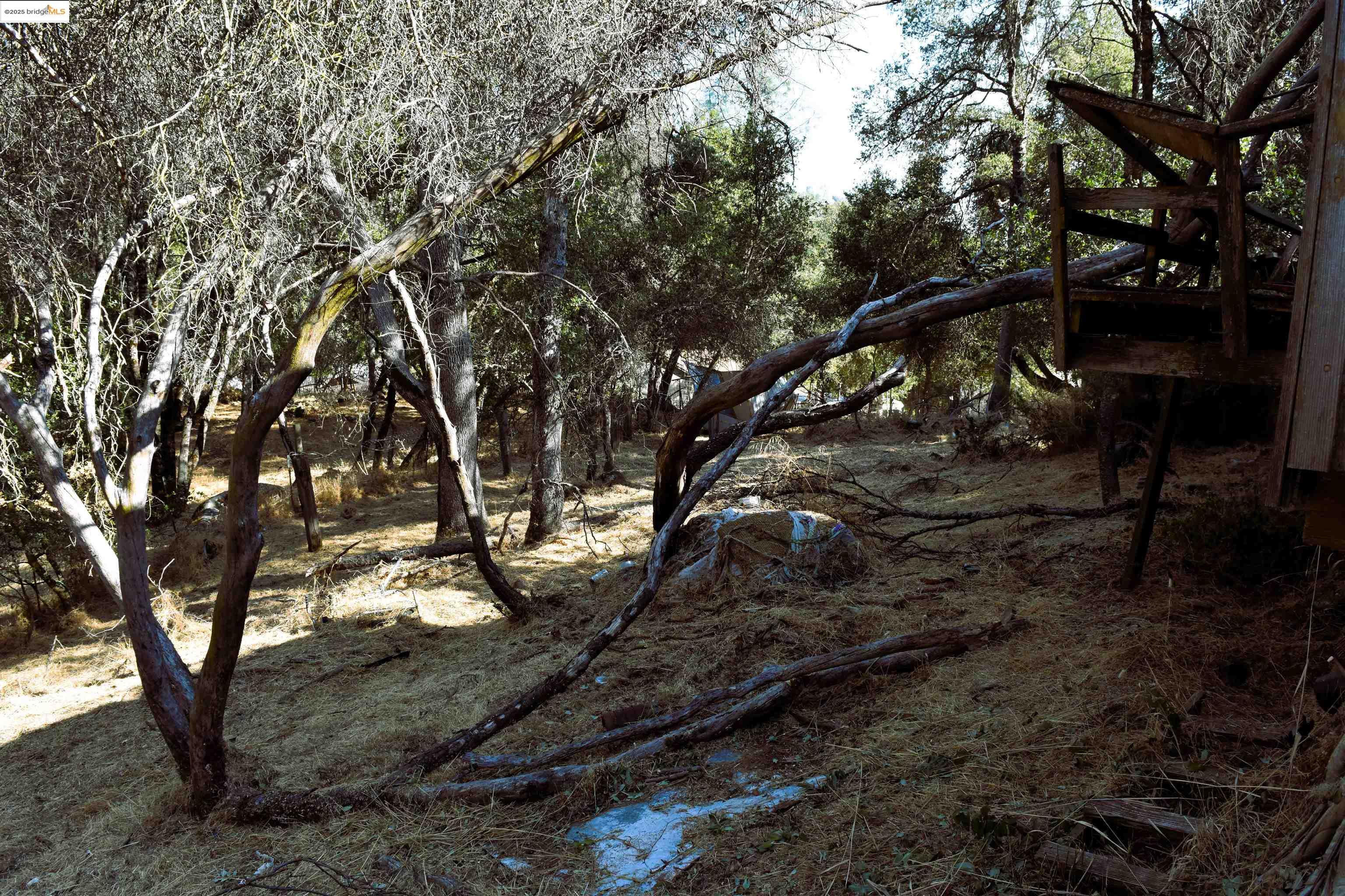 Detail Gallery Image 8 of 13 For 20739 Lower Hillview, Sonora,  CA 95370 - – Beds | – Baths