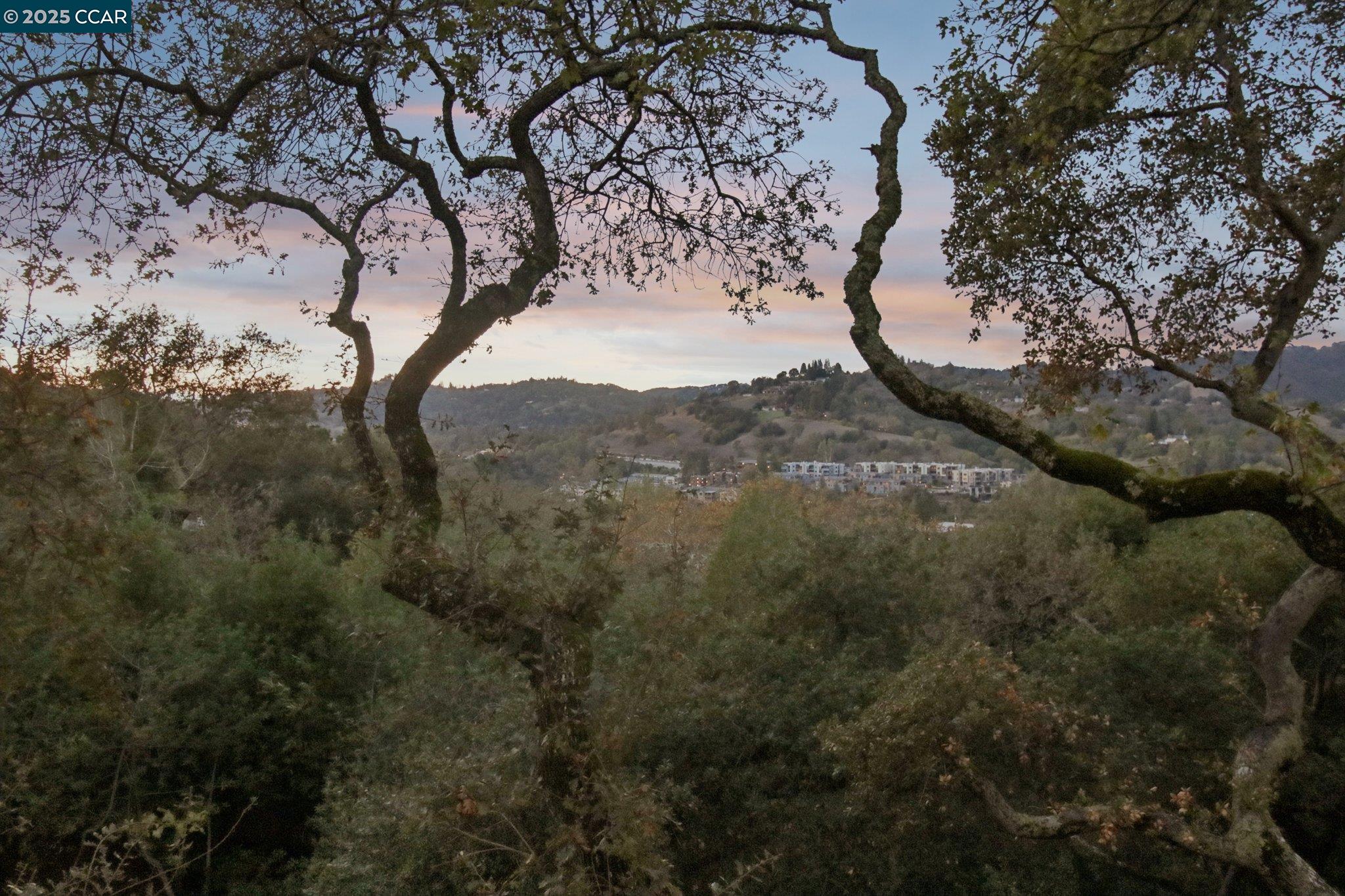 Detail Gallery Image 52 of 55 For 858 Mountain View Dr, Lafayette,  CA 94549 - 5 Beds | 3/1 Baths