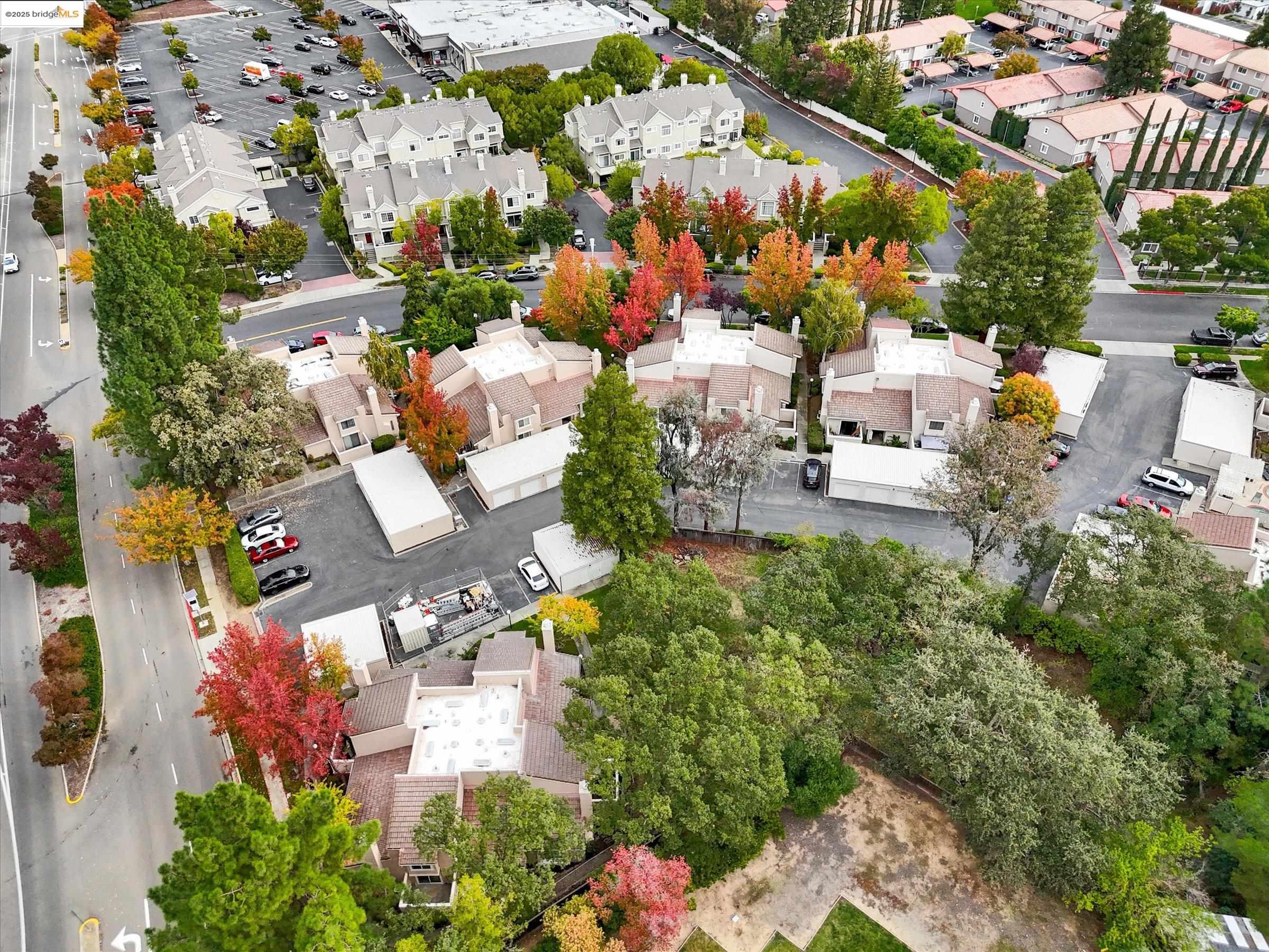 Photo #44: 41117859 Listing: Photo #44