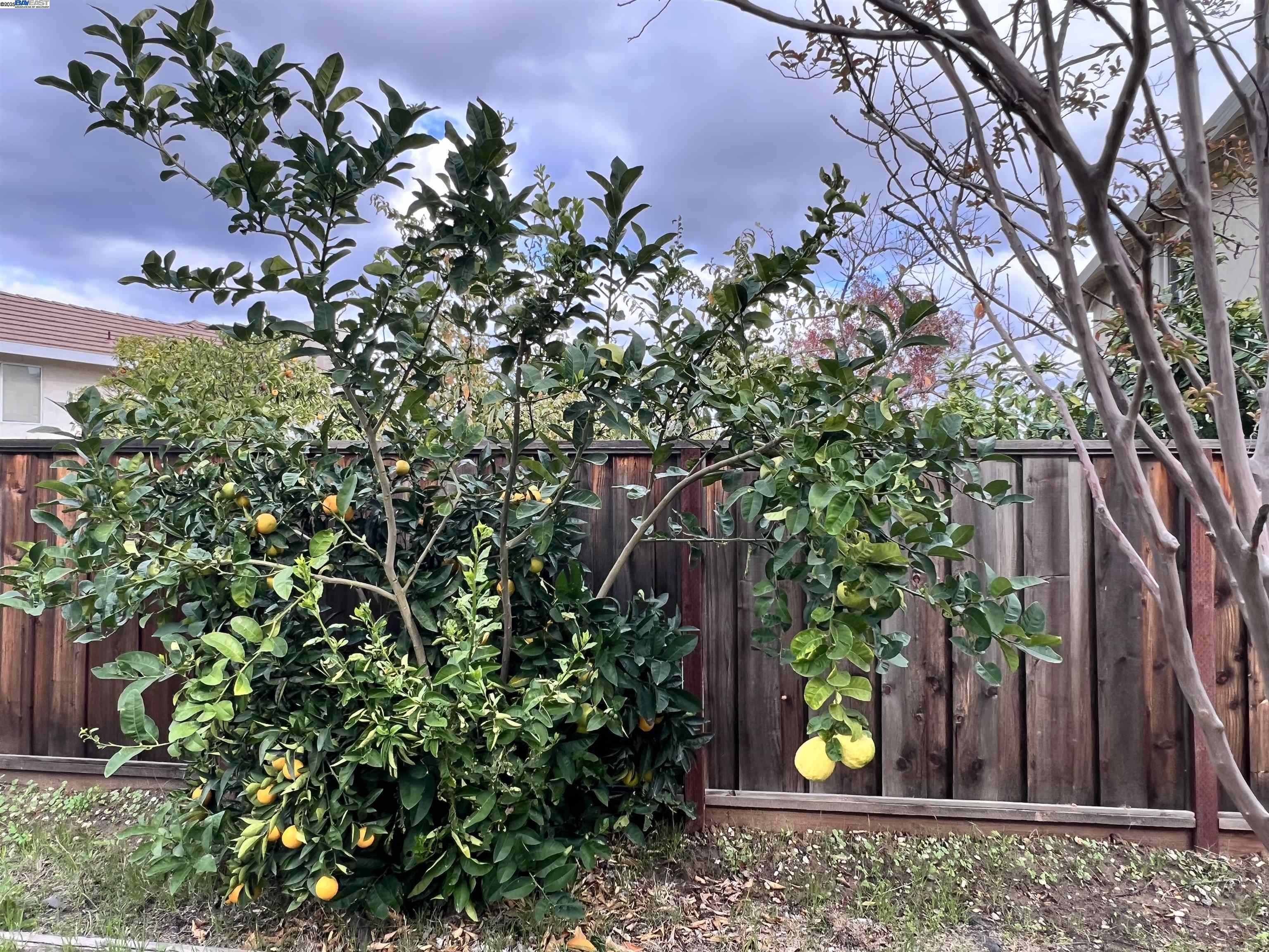 Detail Gallery Image 24 of 24 For 1824 Harding Ct, Antioch,  CA 94509 - 3 Beds | 2 Baths