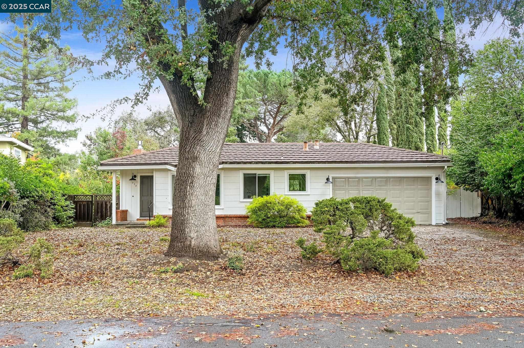 Front Image Thumbnail for CC41117867