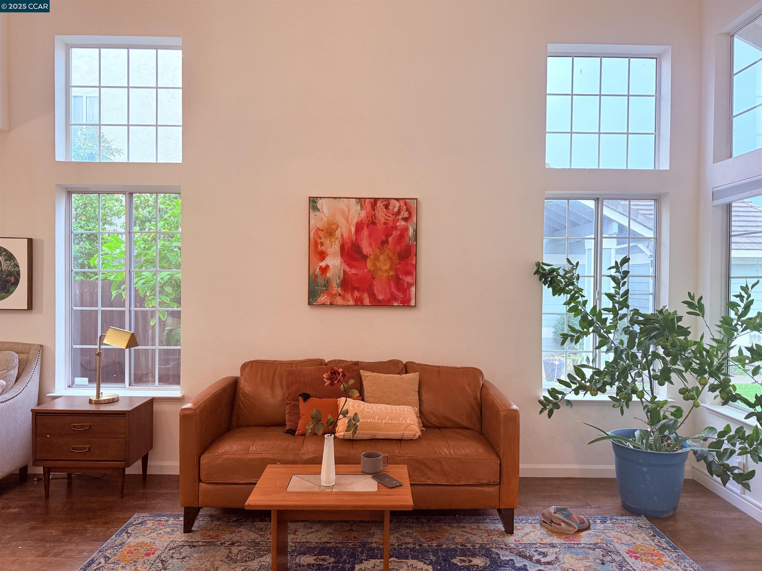 Front Image Thumbnail for CC41117885