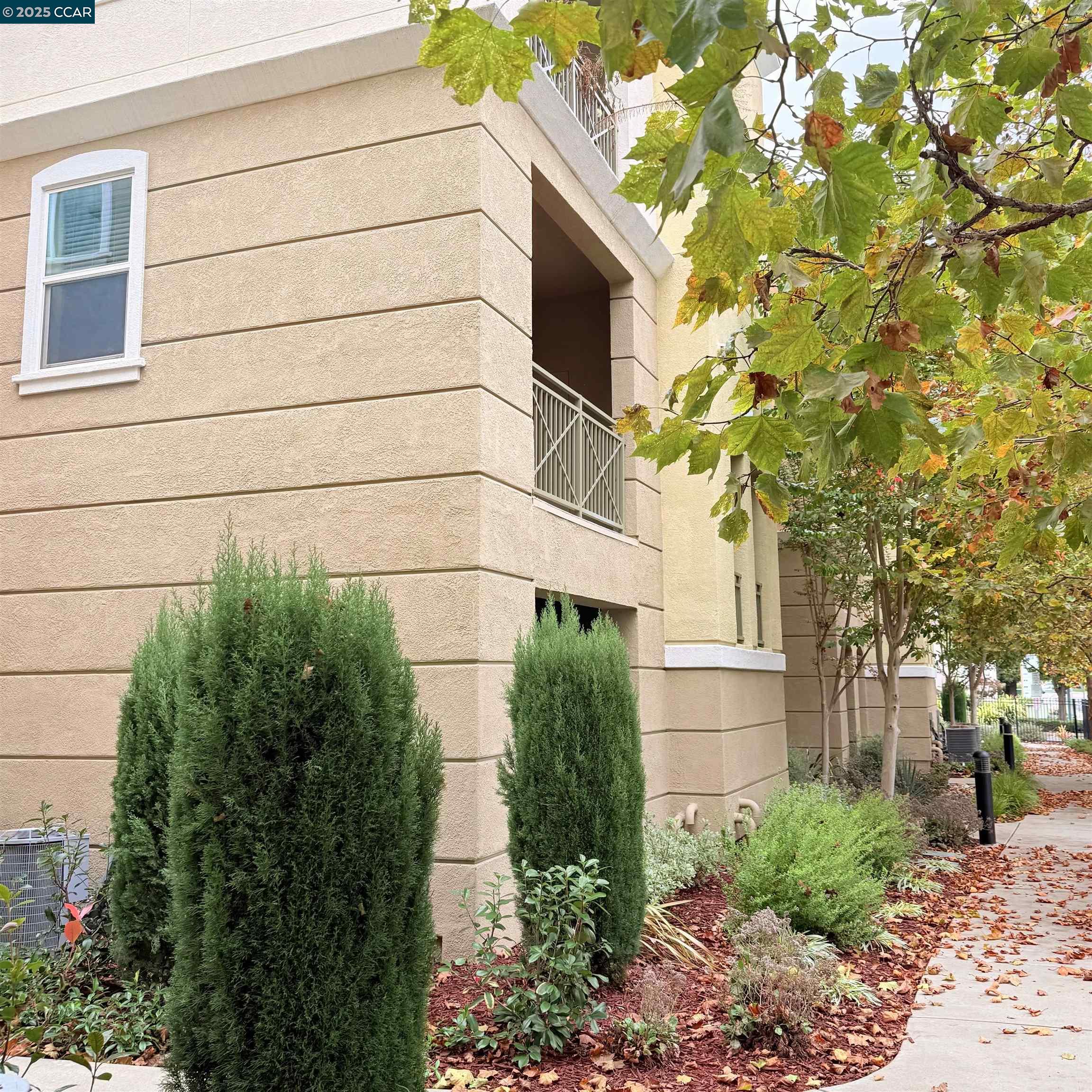 Photo #4: 41117915 Listing: Photo #4