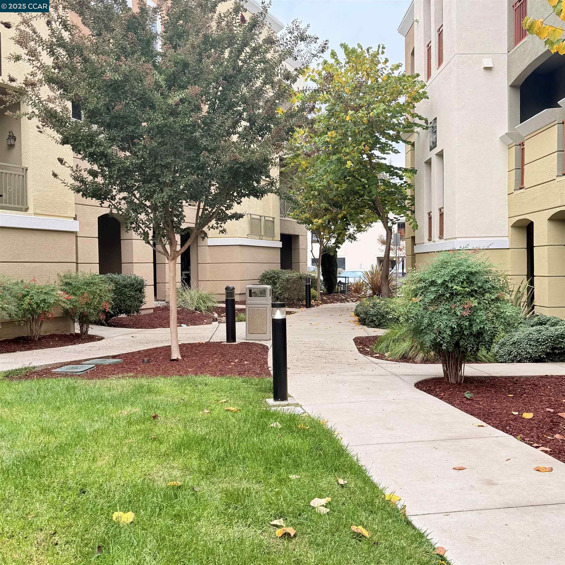 Photo #5: 41117915 Listing: Photo #5