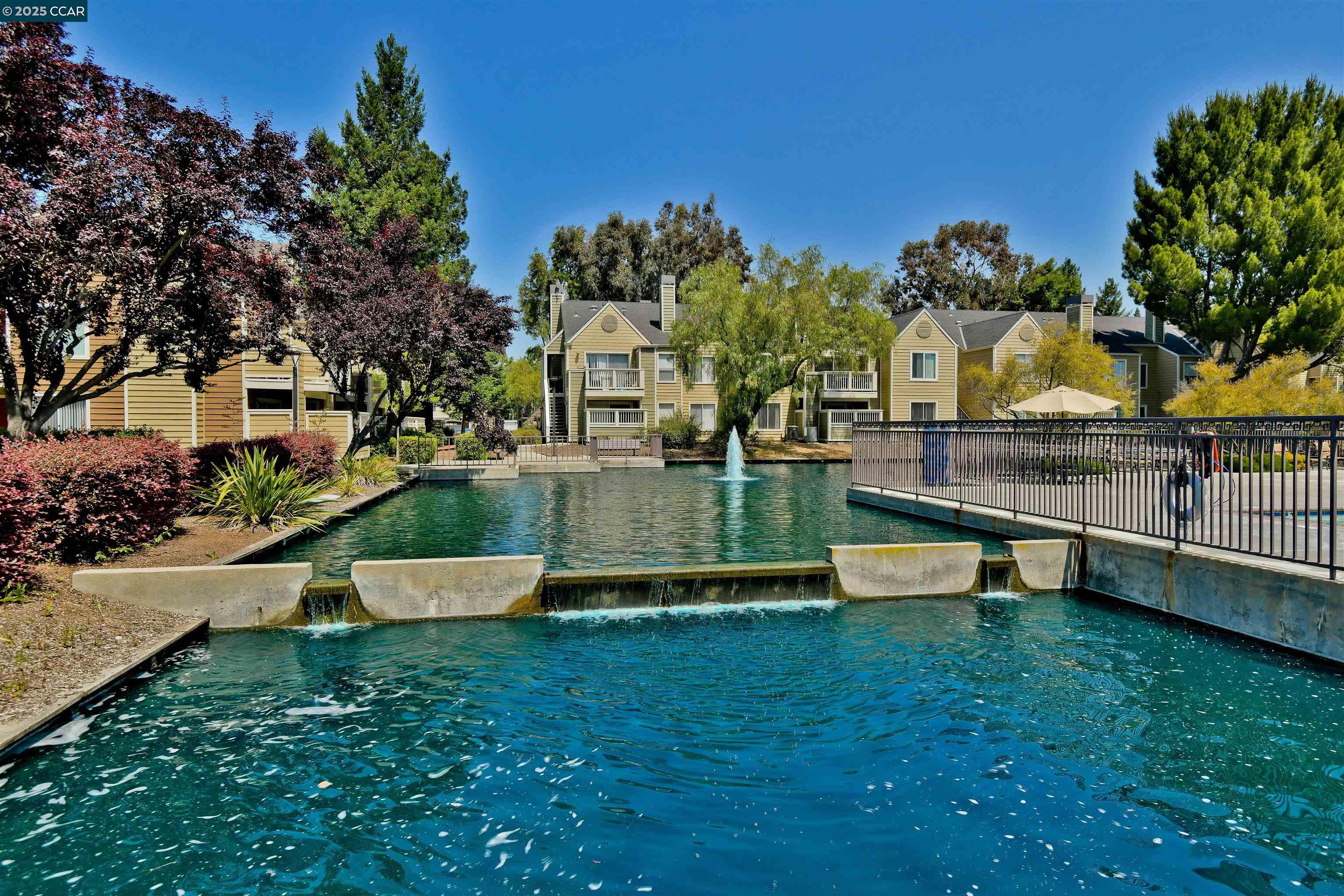 Photo #11: 41117921 Listing: Photo #11