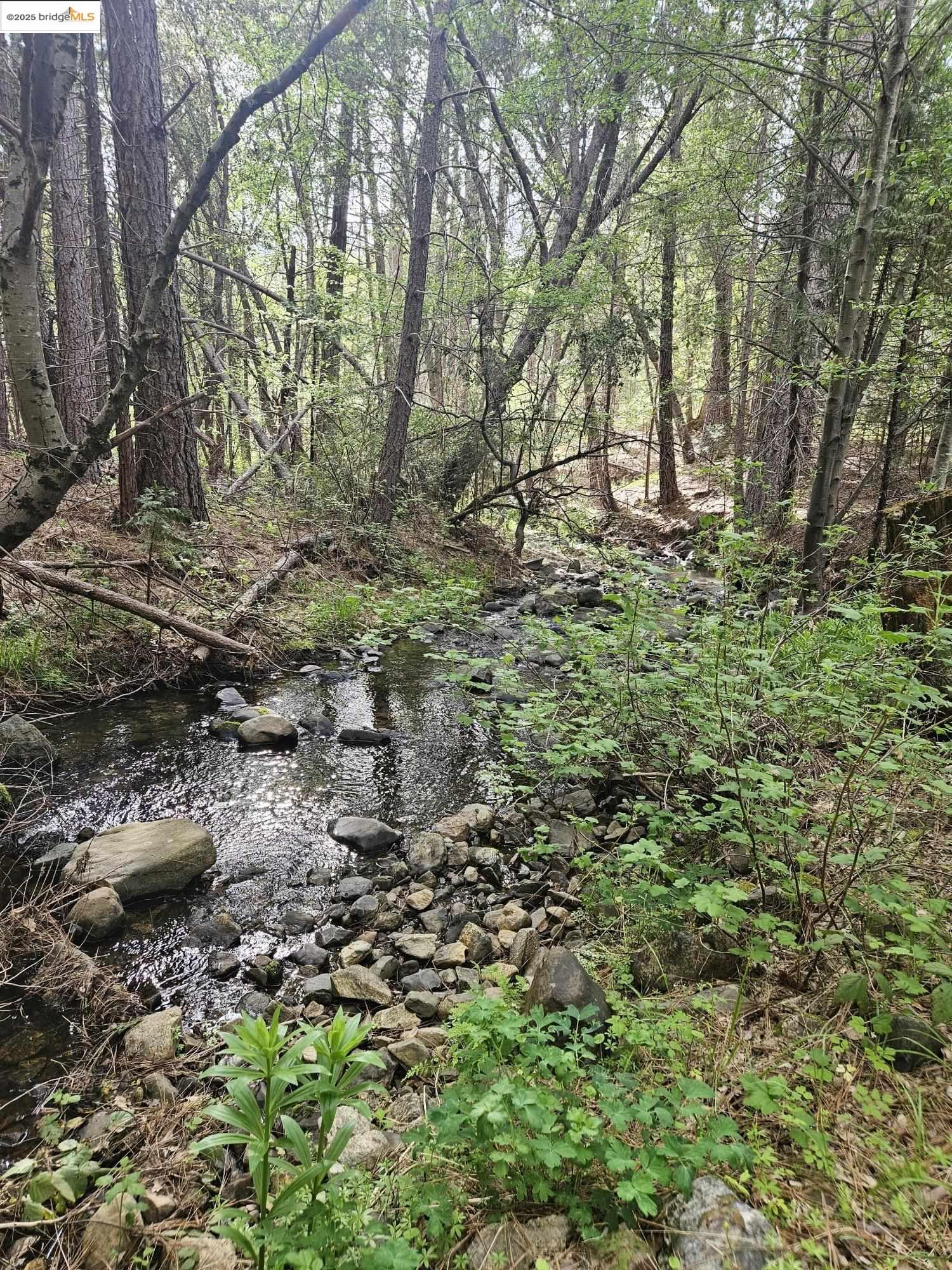 Detail Gallery Image 2 of 9 For 00 Italian Bar Rd, Twain Harte,  CA 95383 - – Beds | – Baths