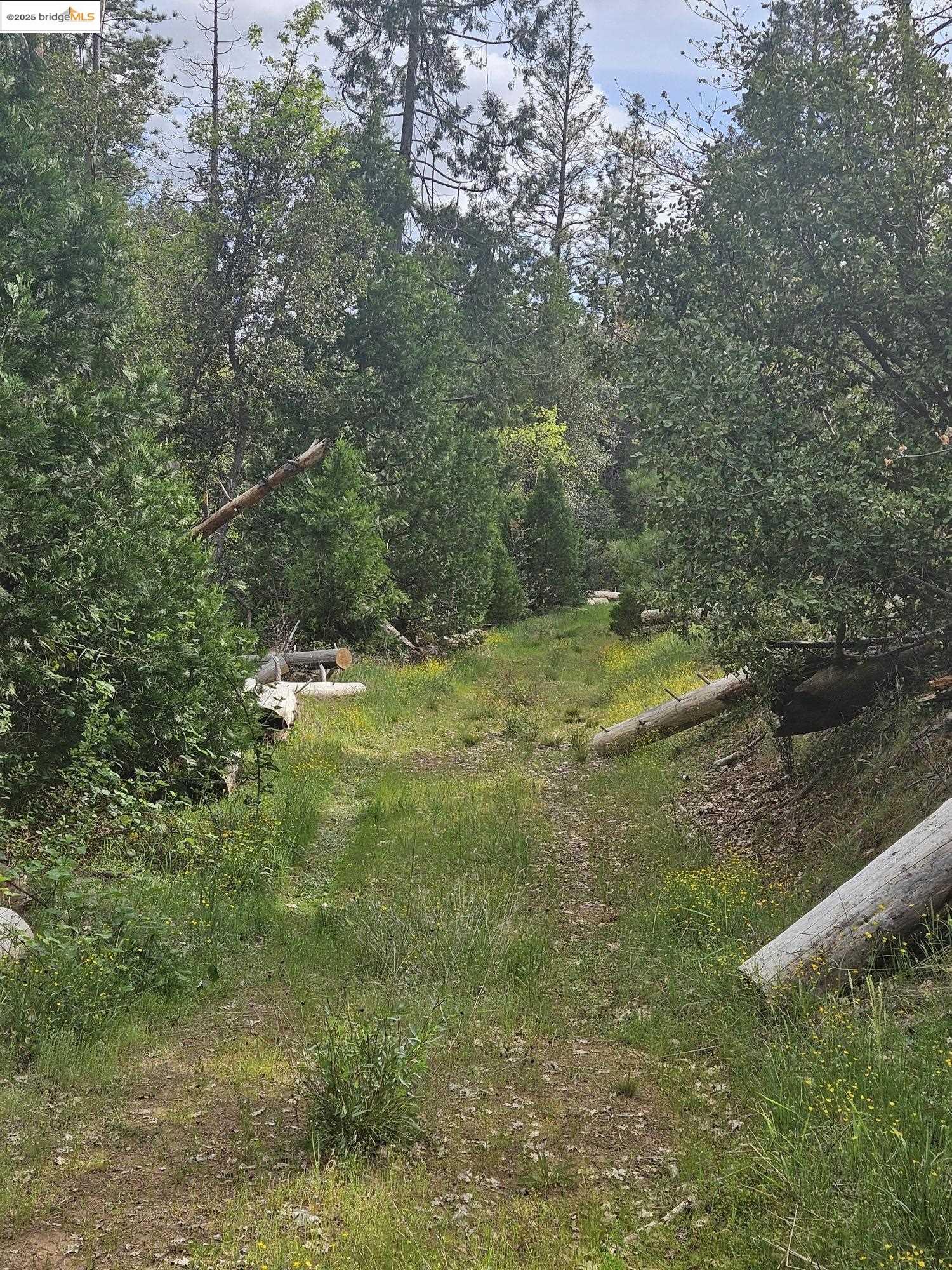 Detail Gallery Image 5 of 9 For 00 Italian Bar Rd, Twain Harte,  CA 95383 - – Beds | – Baths