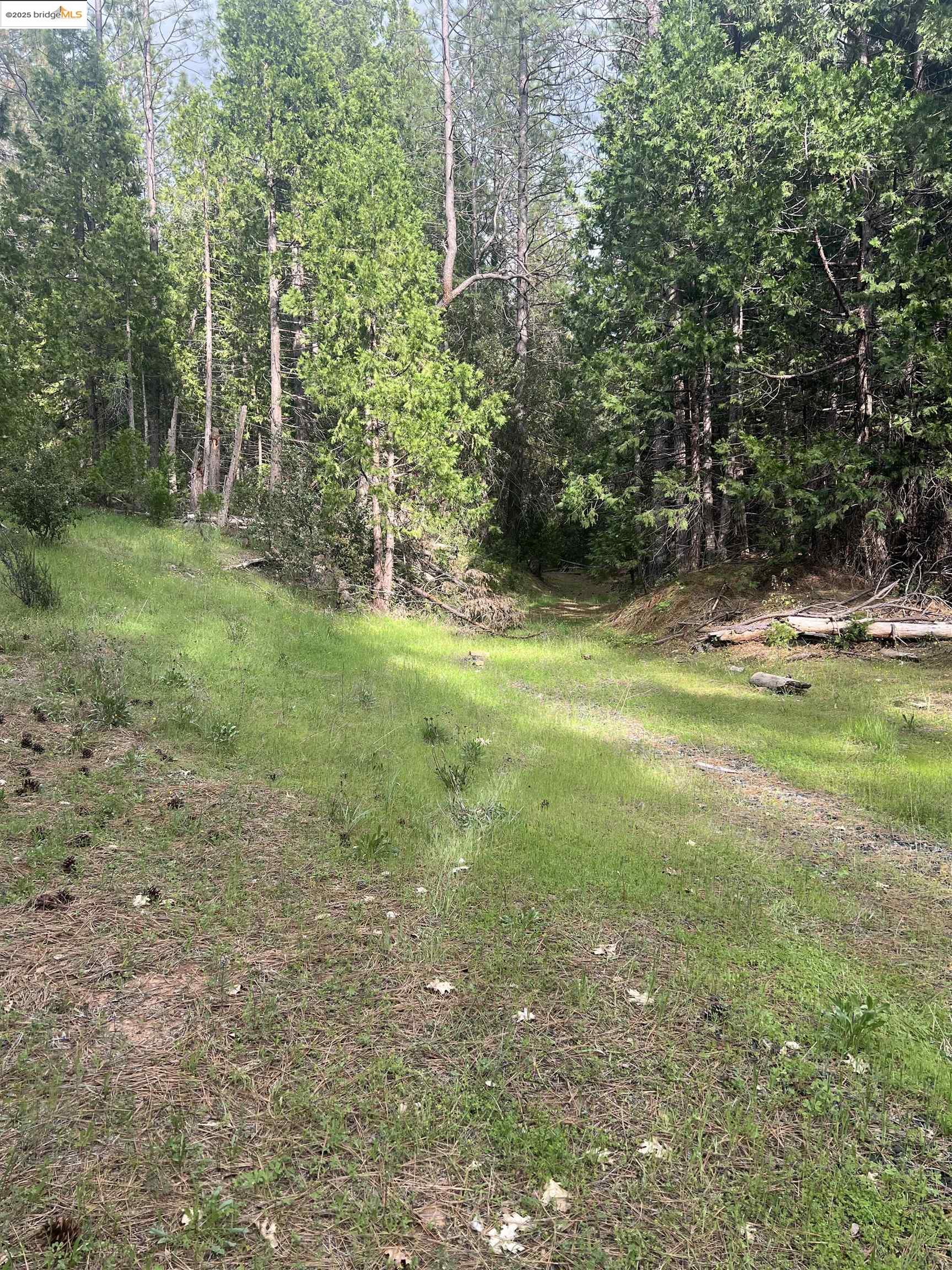 Detail Gallery Image 8 of 9 For 00 Italian Bar Rd, Twain Harte,  CA 95383 - – Beds | – Baths