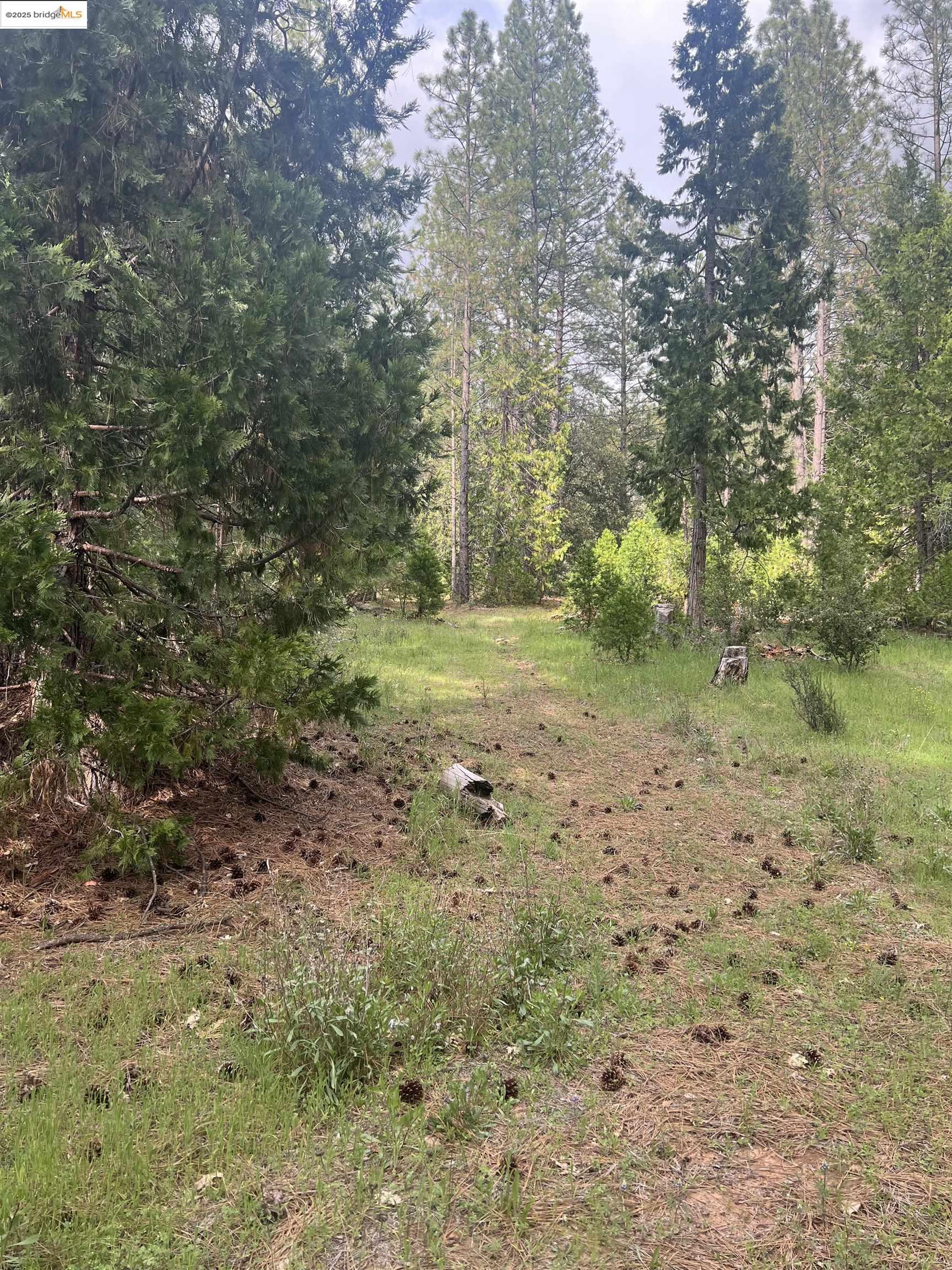 Detail Gallery Image 9 of 9 For 00 Italian Bar Rd, Twain Harte,  CA 95383 - – Beds | – Baths