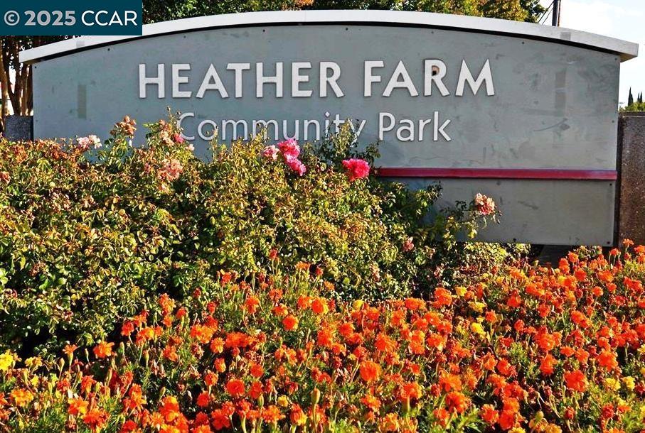 Detail Gallery Image 39 of 40 For 1936 Nero Ct, Walnut Creek,  CA 94598 - 3 Beds | 2/1 Baths