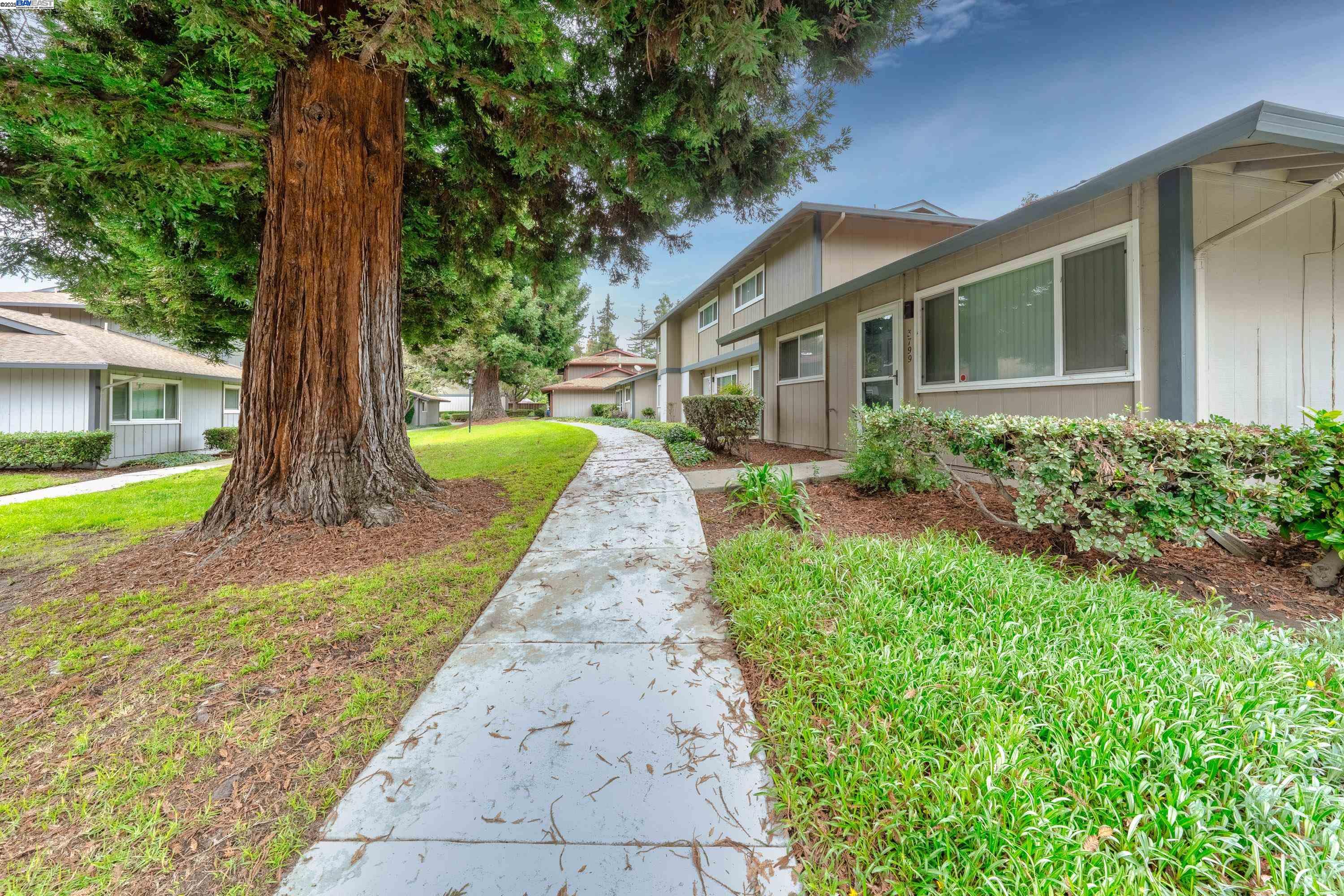 Photo #2: 41118009 Listing: Photo #2